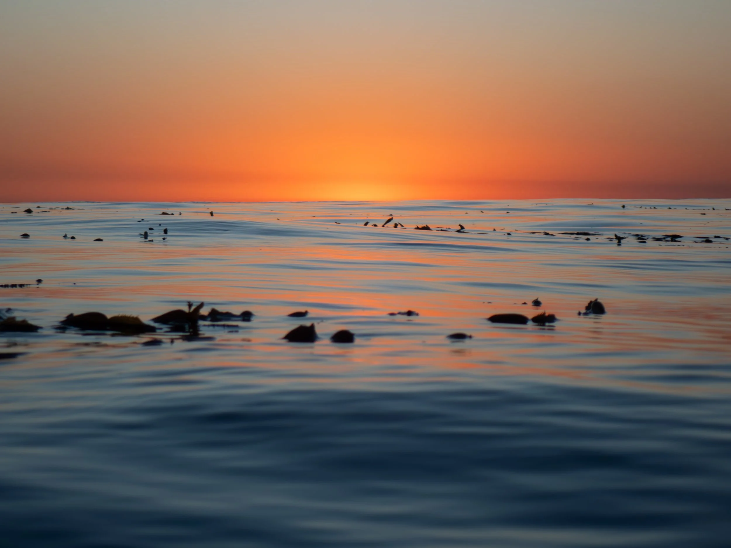 Sunset over the ocean with calm water and small rocks or debris floating on the surface.