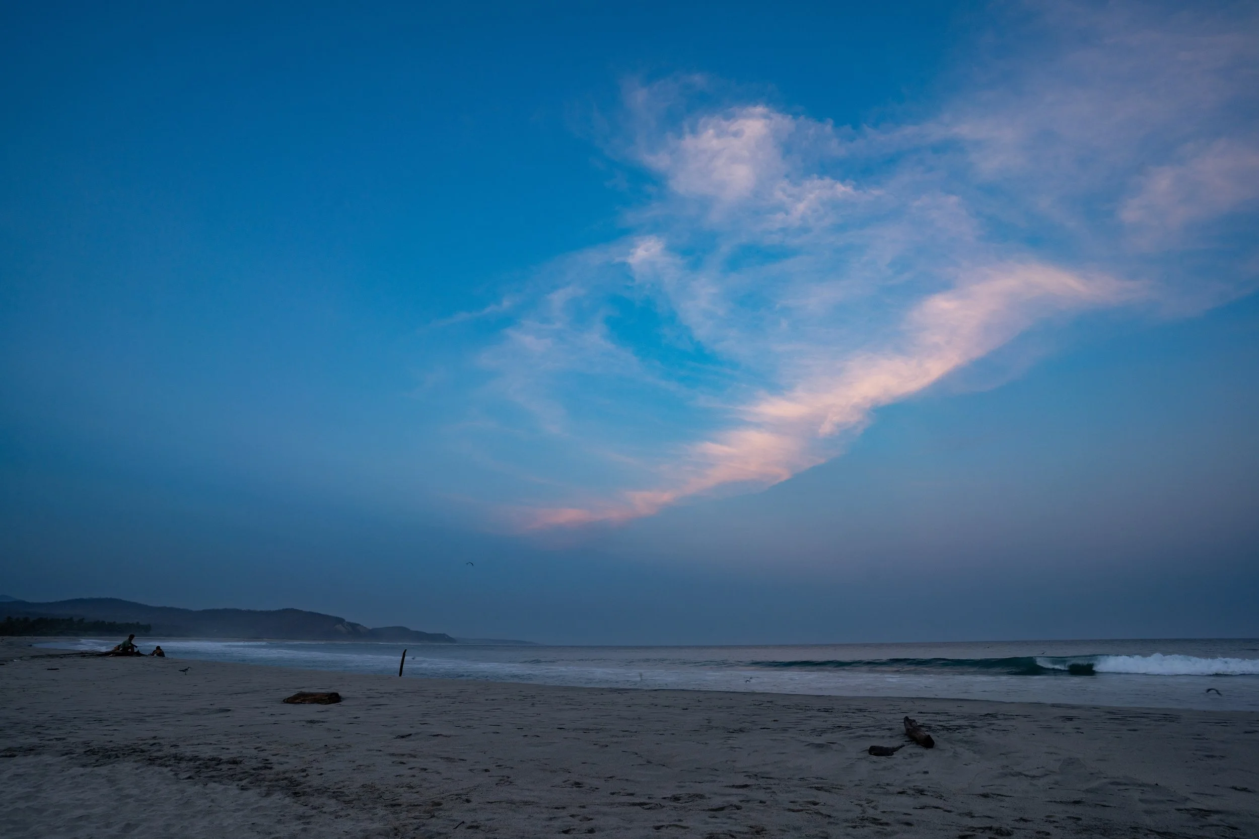DSC08337.jpg