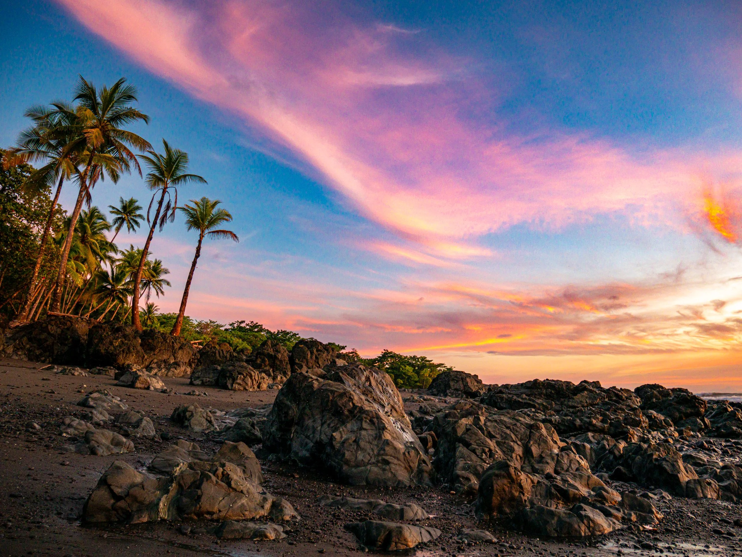 Tropical beach at sunset with palm trees, rocks on the sandy shore, and colorful sky with pink, orange, and blue clouds