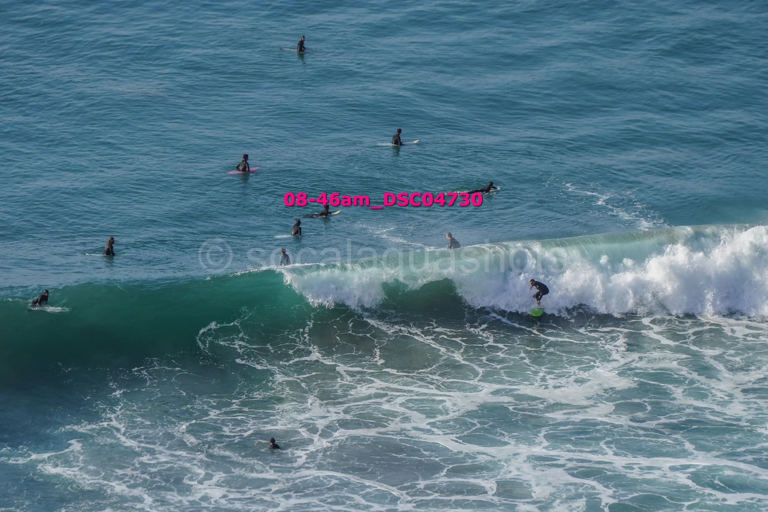 Surfers waiting in the ocean, with one riding a wave, on a sunny day.