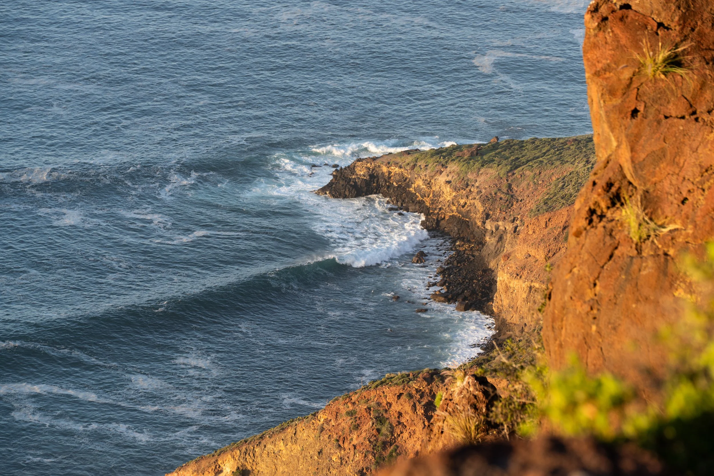 Photo of a rocky cliffside with greenery overlooking the ocean, waves crashing against the rocks.