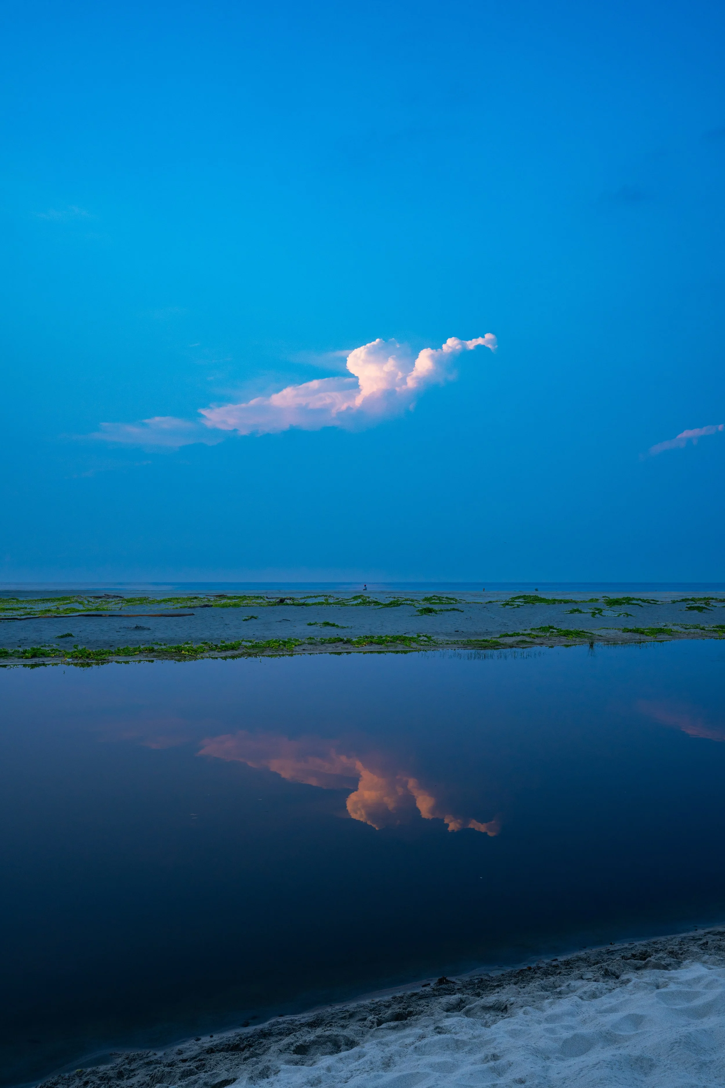 DSC02116.jpg