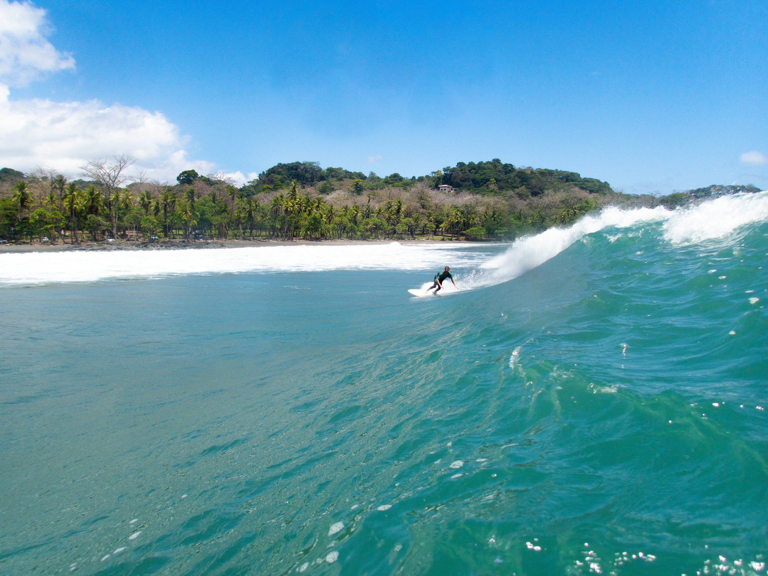 Surfer riding a large ocean wave near a tropical beach with palm trees.