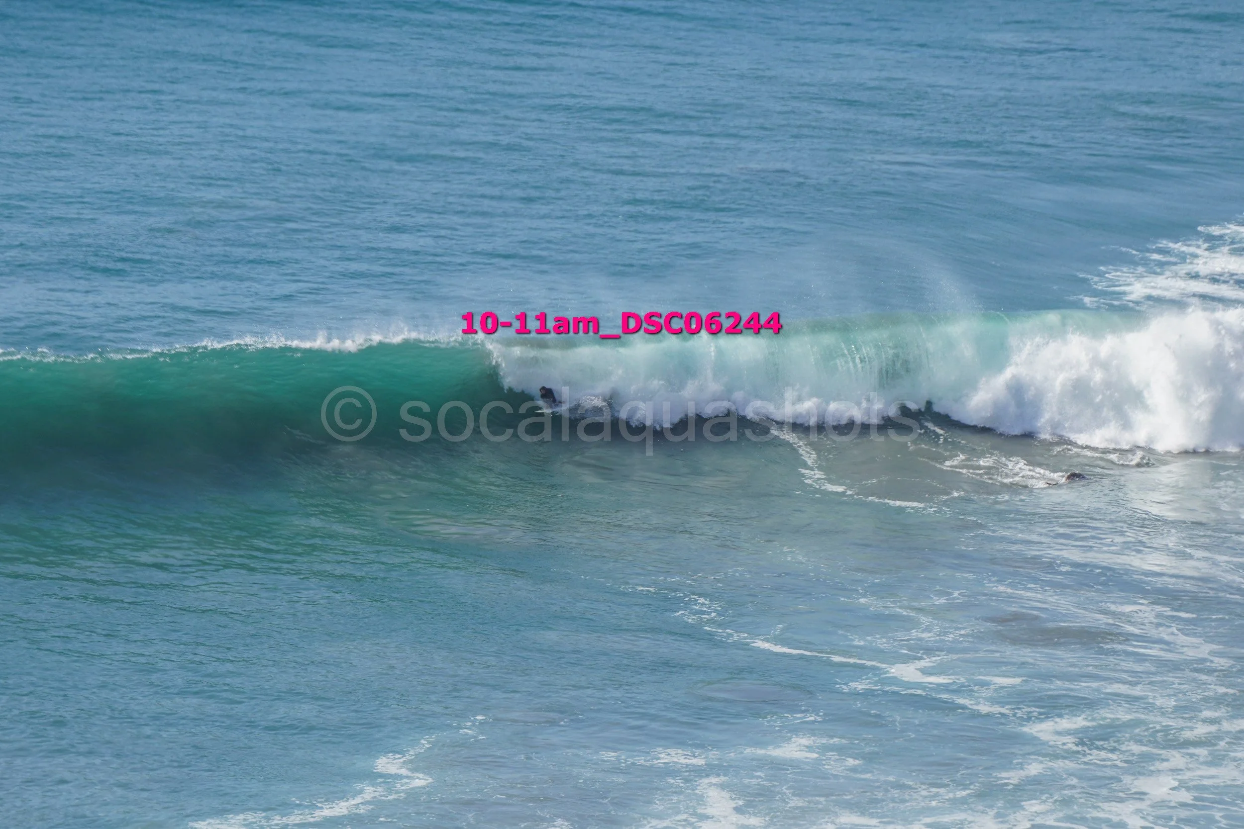 Surfboarder riding a wave at the beach with ocean in the background.