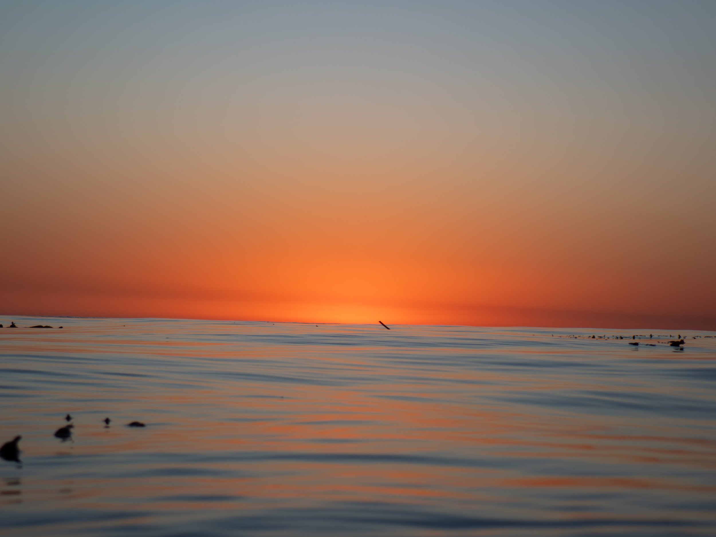 Sunset over a calm body of water with a few birds floating on the surface, and the sky transitioning from orange near the horizon to a lighter blue higher up.
