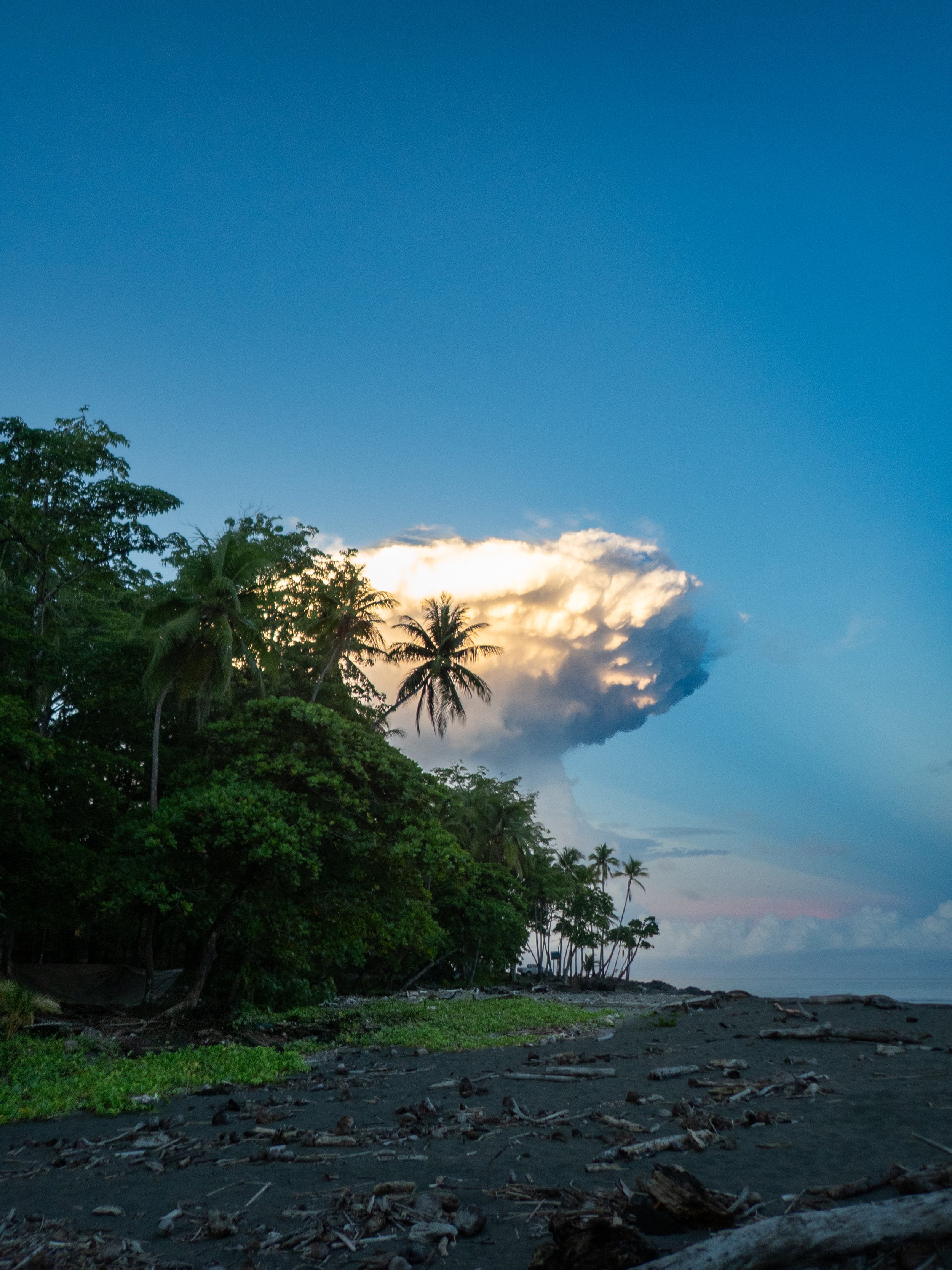 A tropical beach at sunset with dark sand, scattered debris, lush green trees including palm trees, and a calm ocean in the distance under a partially cloudy sky.