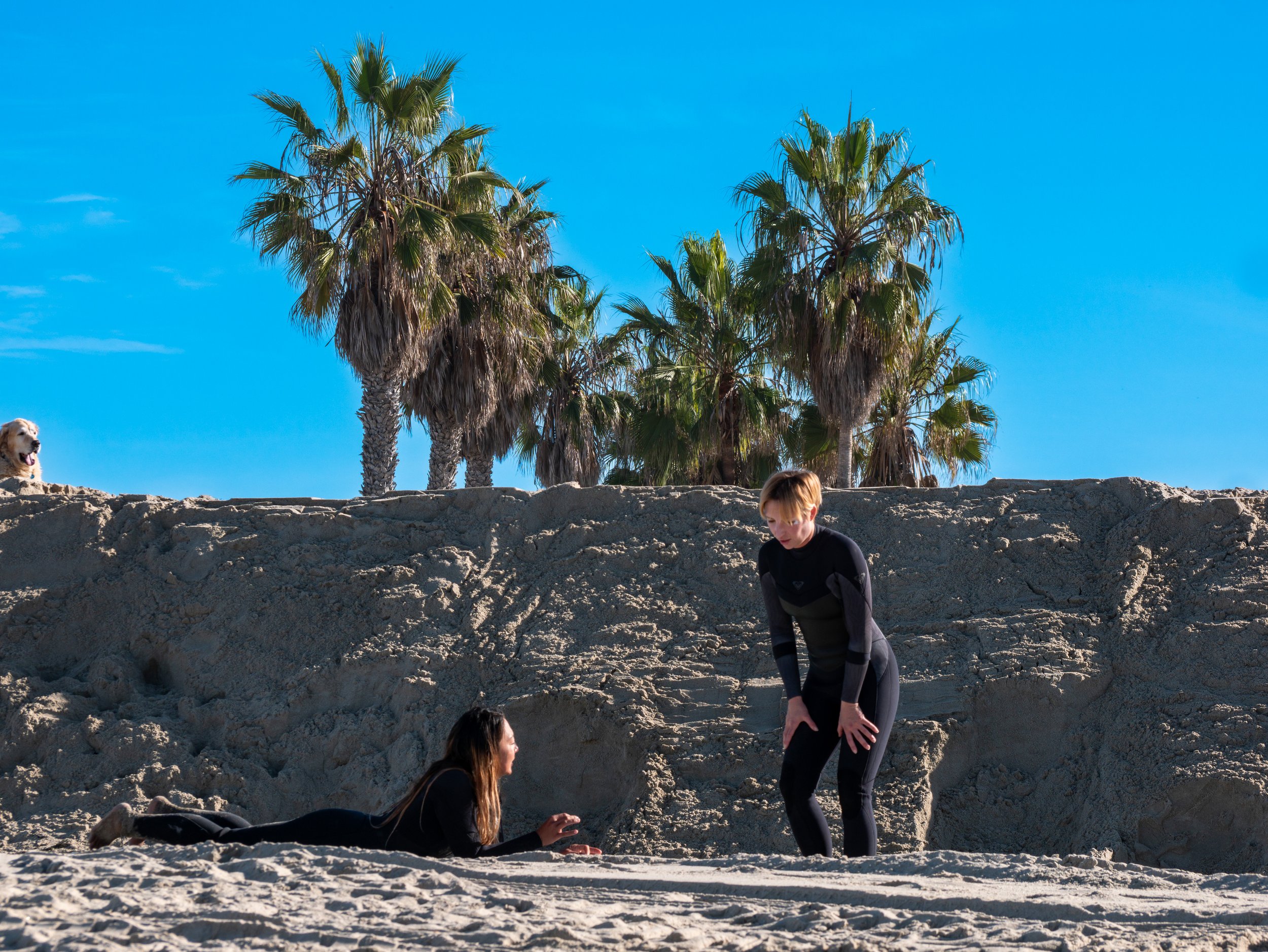 Two women in black wetsuits lying and standing on a sandy beach, one on her stomach and the other bent over, with palm trees and a dog on a sand dune in the background.