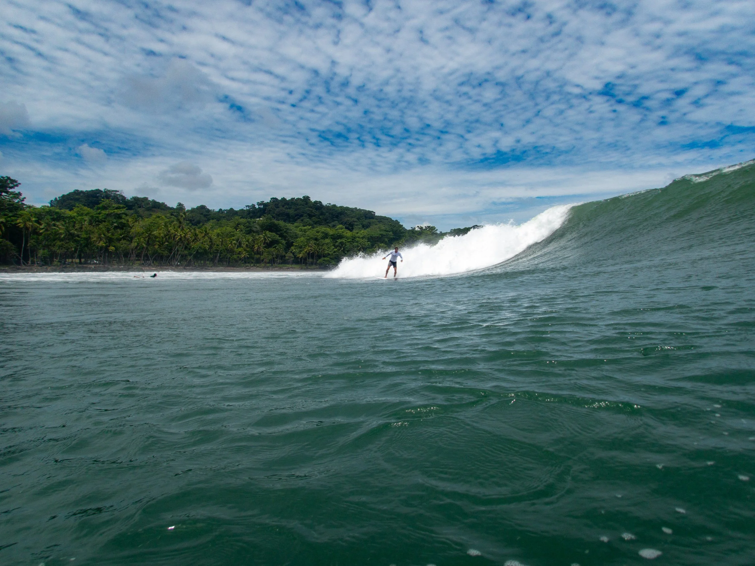 surfer riding a wave in a tropical ocean with palm trees and cloudy sky background