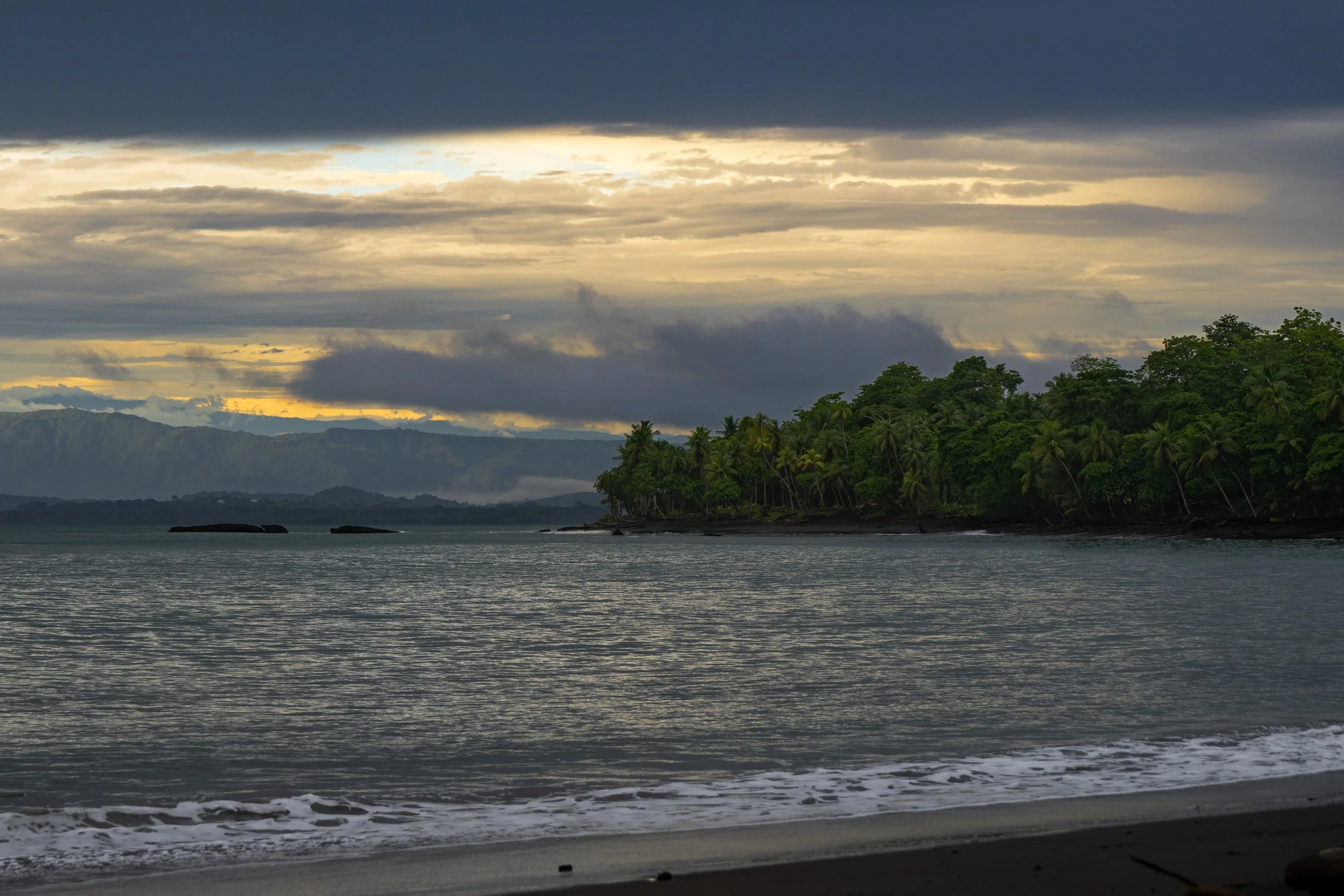 A coastal scene during overcast weather with dark clouds, distant mountains, green palm trees along the shoreline, and water with gentle waves.