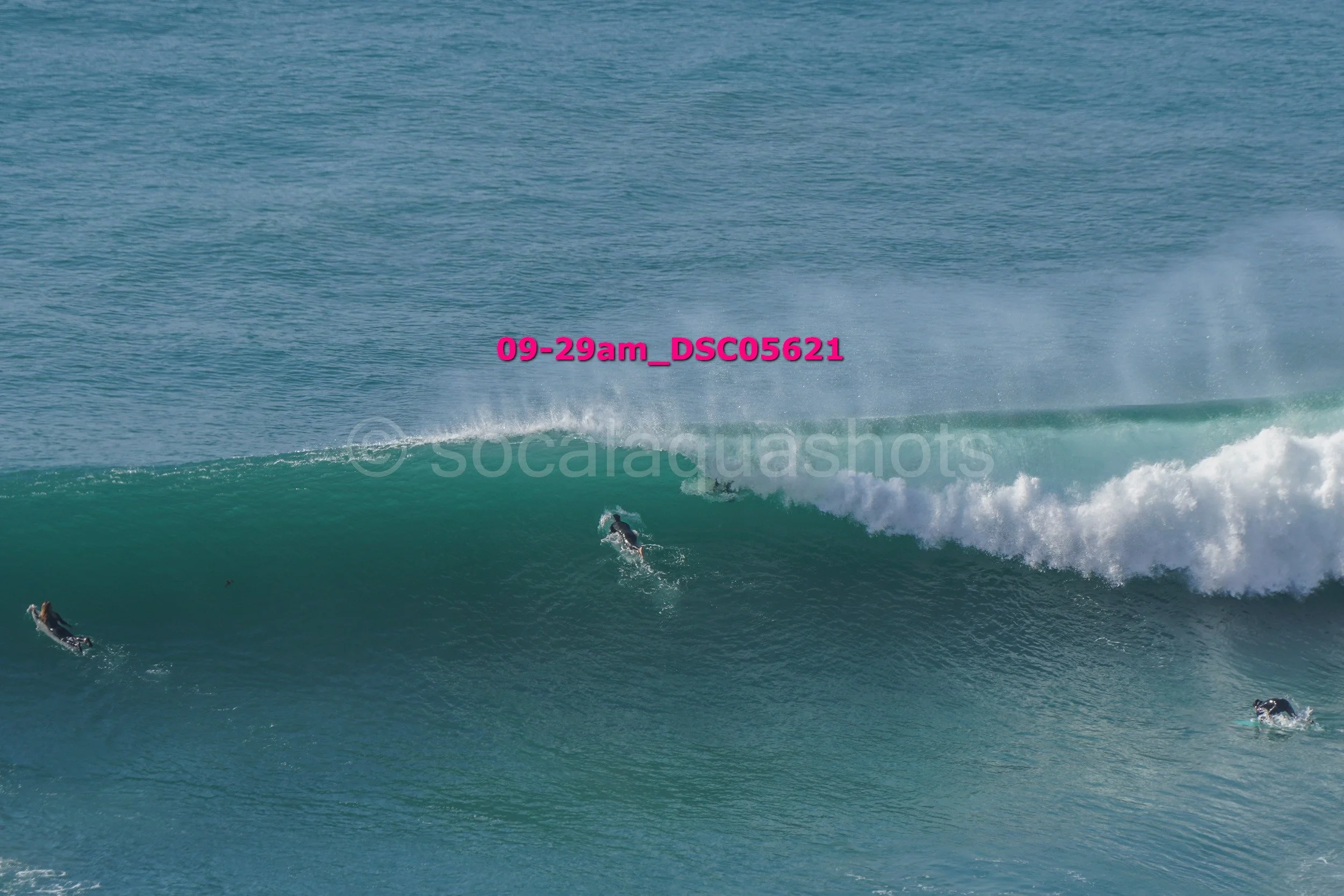 Several surfers riding the waves in the ocean.