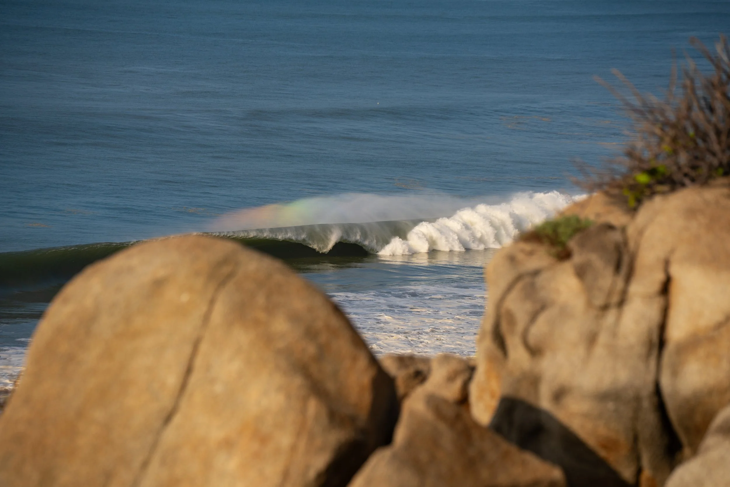 View of ocean with waves breaking near the shore, framed by rocks and a small bush in the foreground.