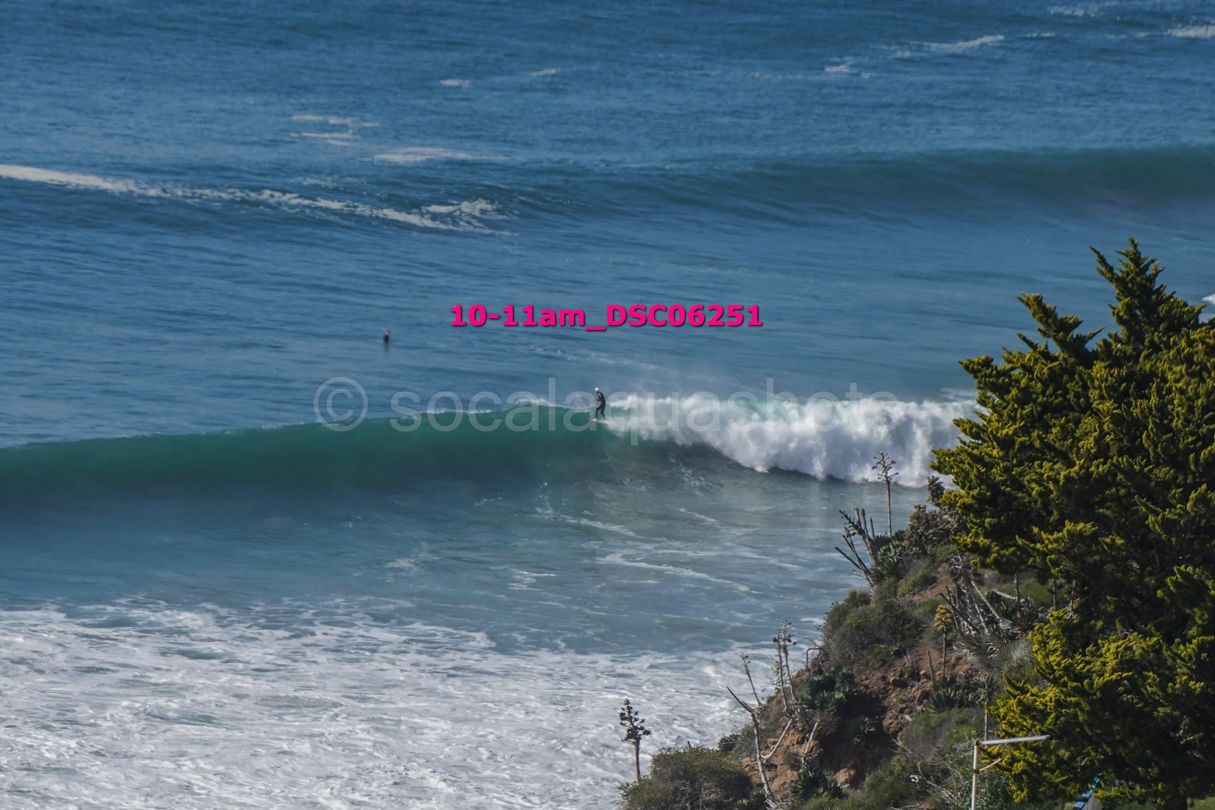 Surfer riding a wave near a rocky shoreline with trees in the foreground.