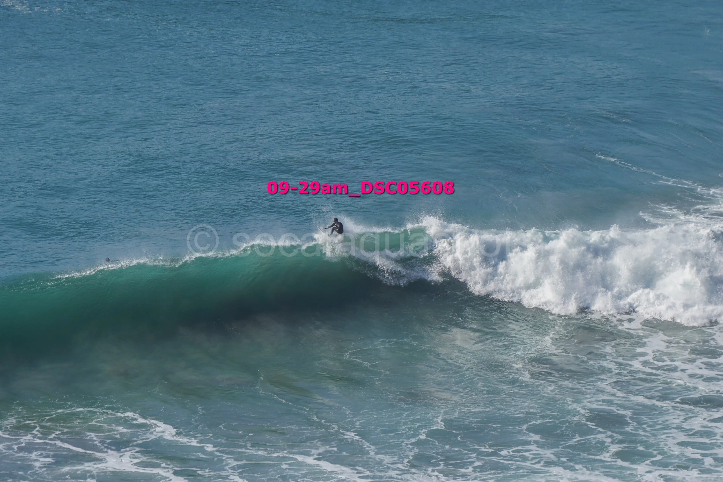 A surfer riding a wave in the ocean with blue water and white foam.