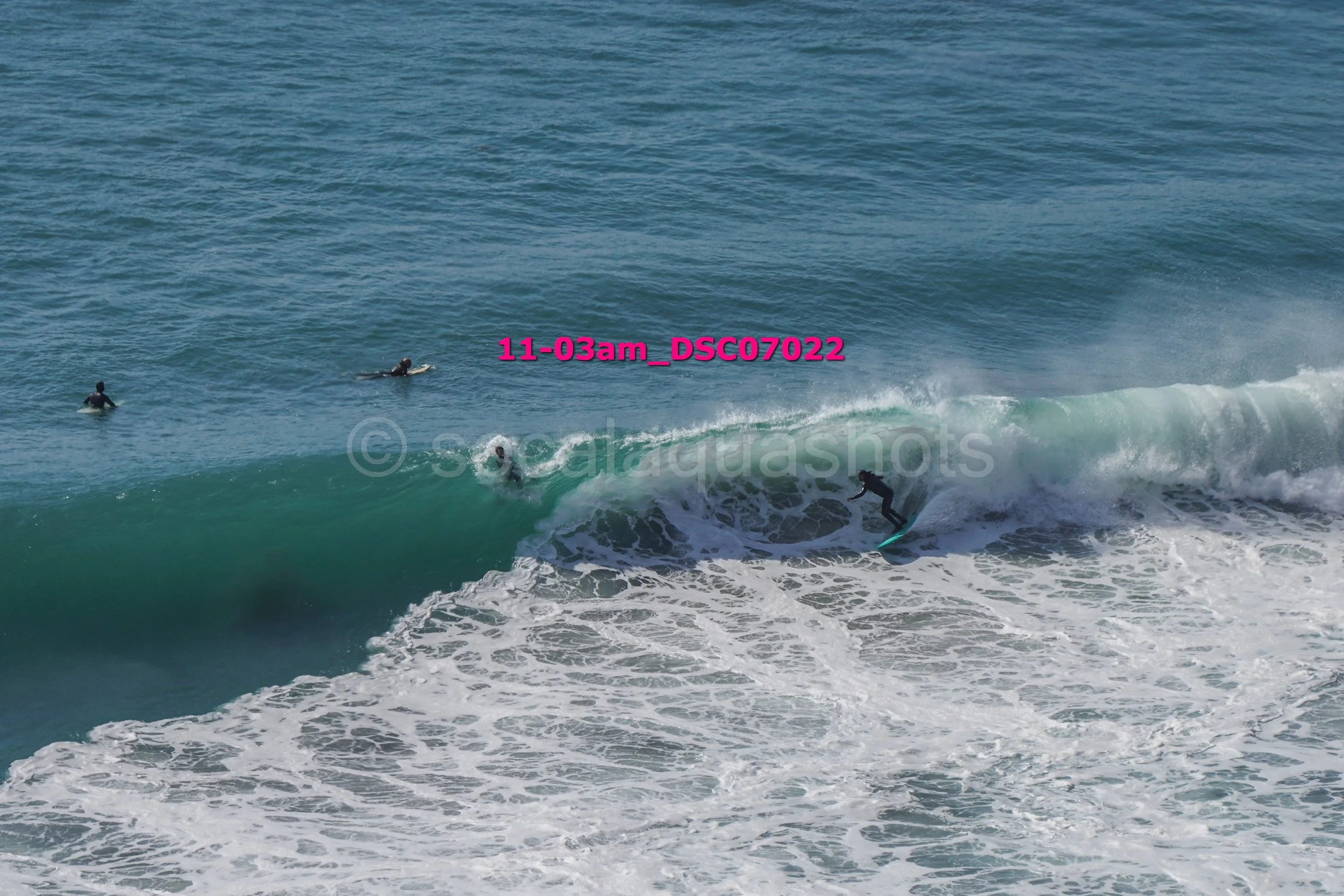 A group of surfers in the ocean, with one riding a wave and three others in the water watching or waiting.