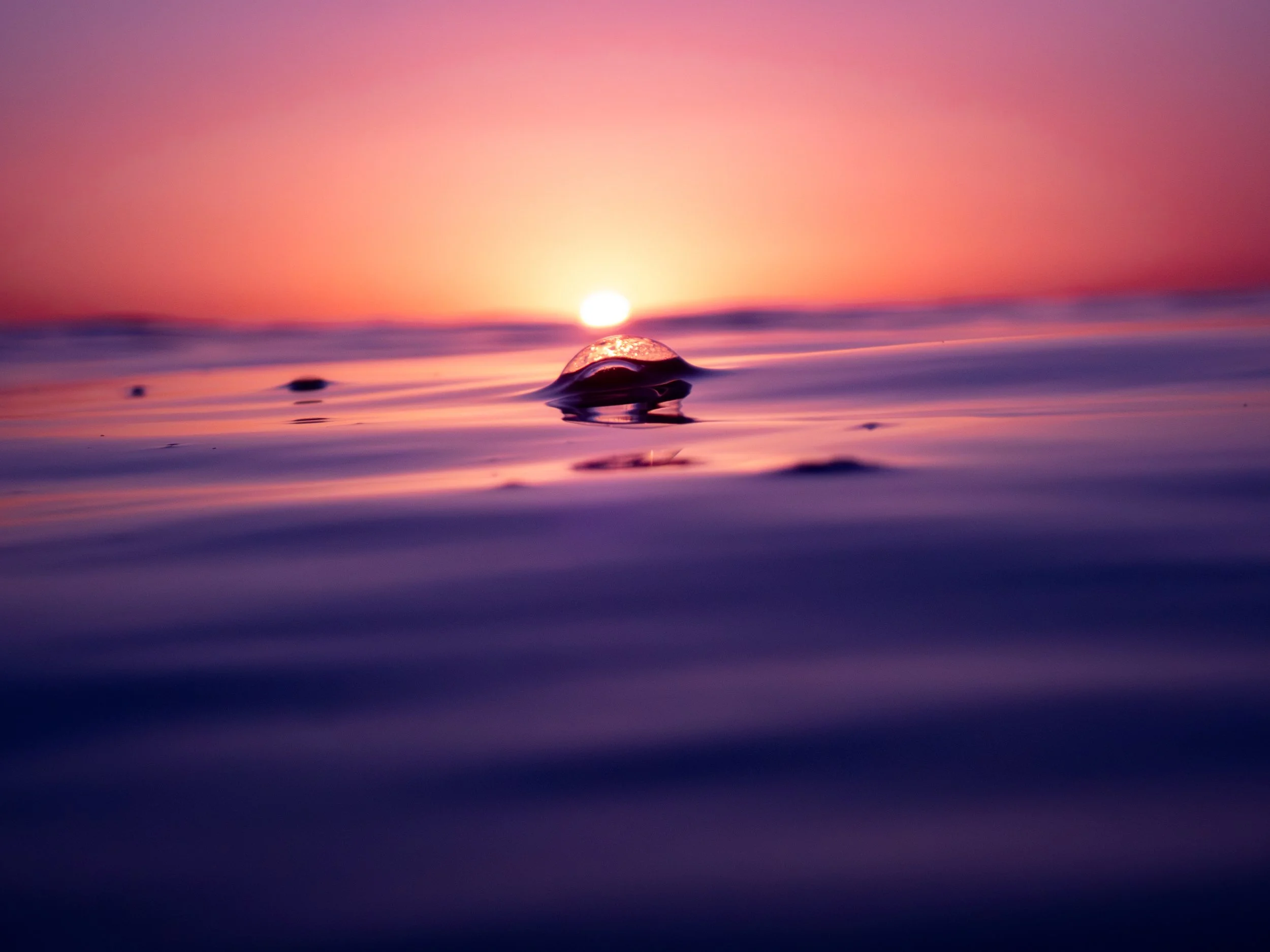Close-up of a single water droplet on a smooth surface during sunset, with a colorful sky in shades of pink, orange, and purple in the background.