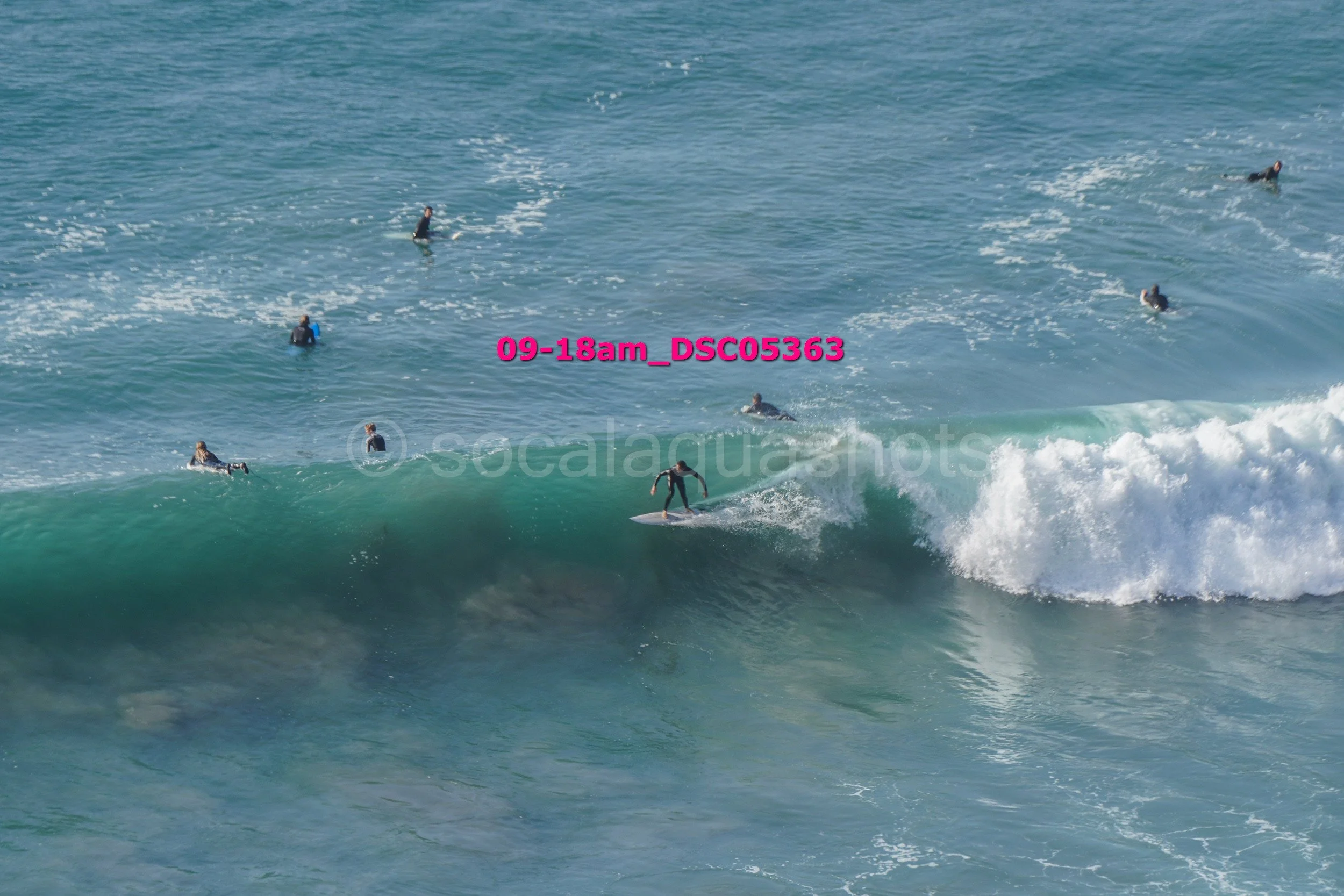 A surfer rides a wave at the beach while multiple other surfers float on their boards in the ocean around him.
