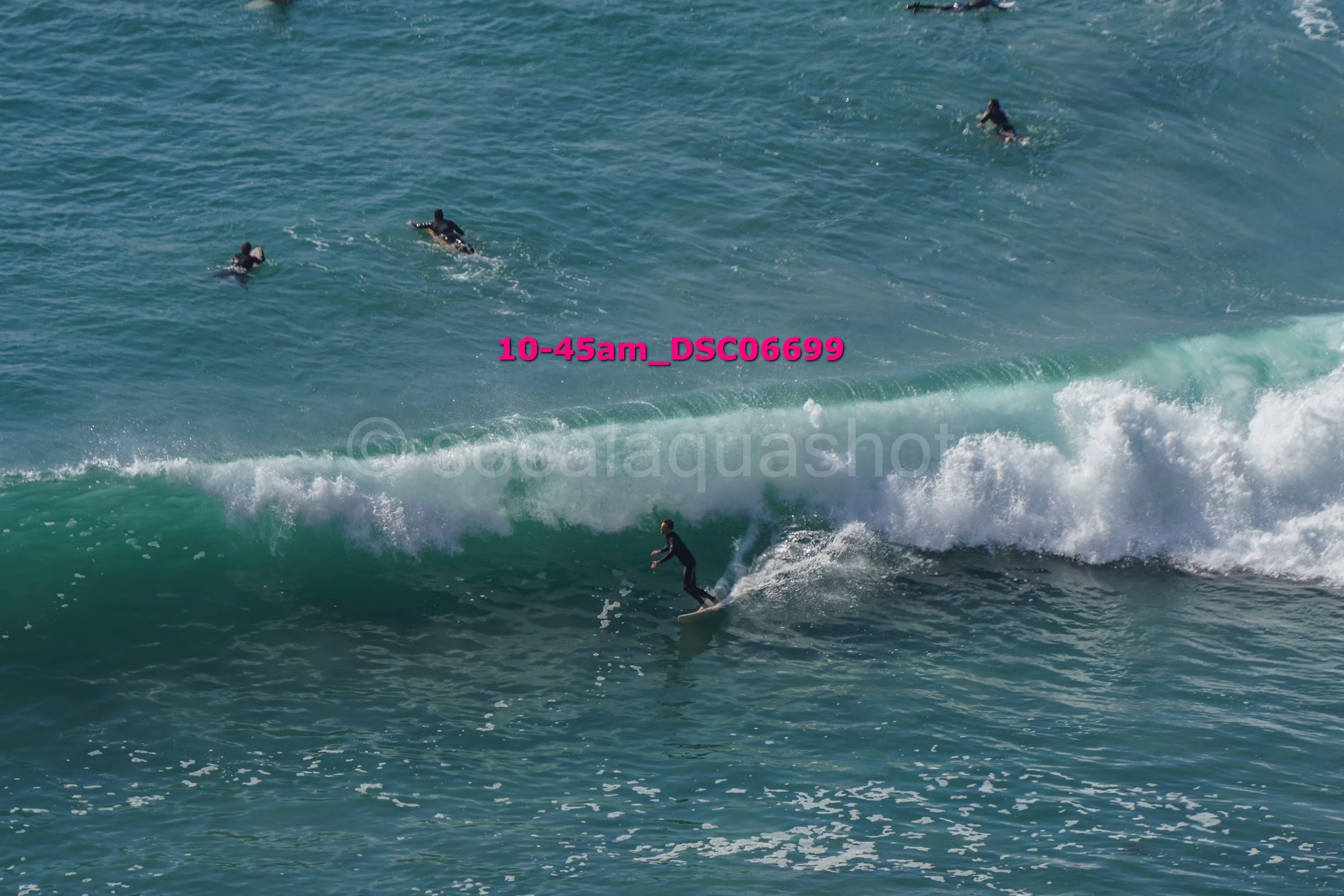 A person surfing on a wave with three people swimming nearby in the ocean.