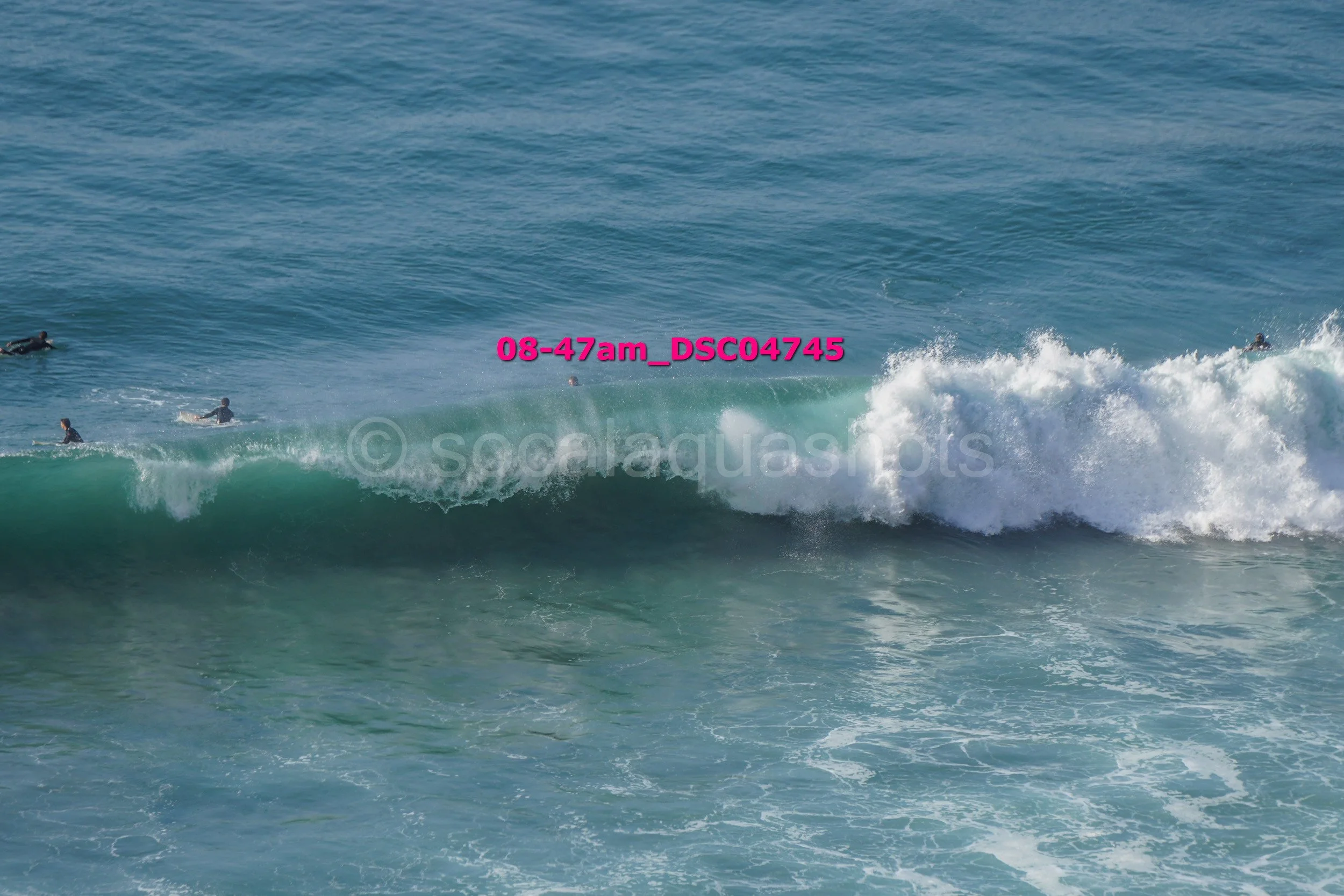 Several surfers in wetsuits riding and waiting for waves in the ocean.