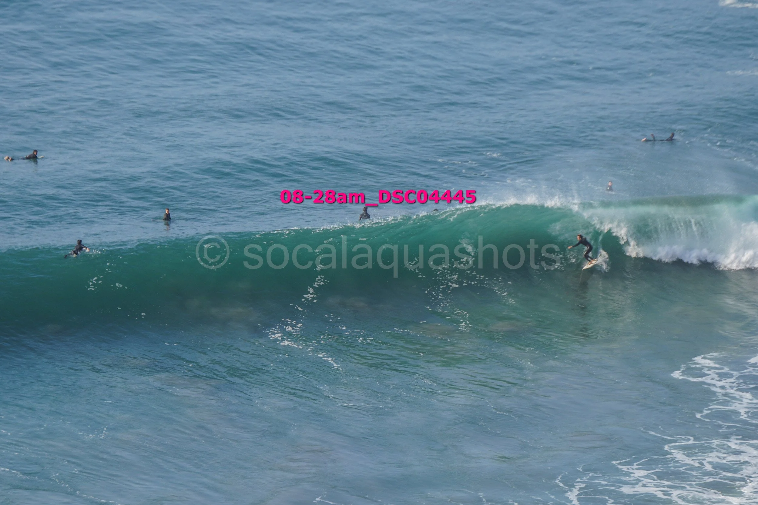 Surfers riding a large wave in the ocean with others in the water waiting for their turn.