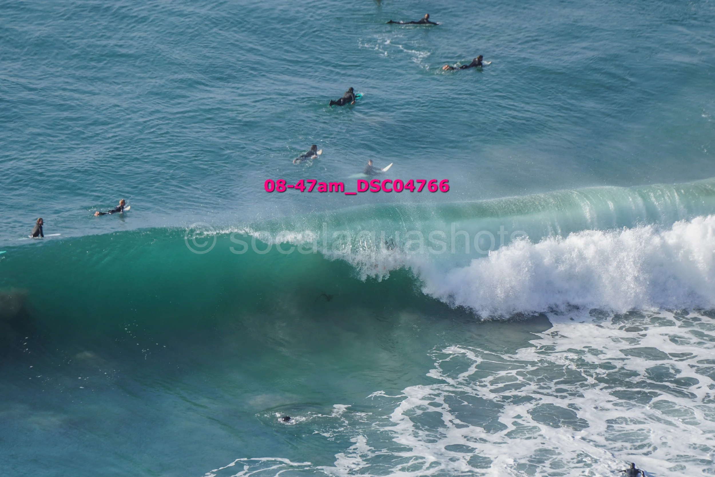 Multiple surfers in black wetsuits in the ocean, some on surfboards and others swimming, with waves crashing in the foreground.