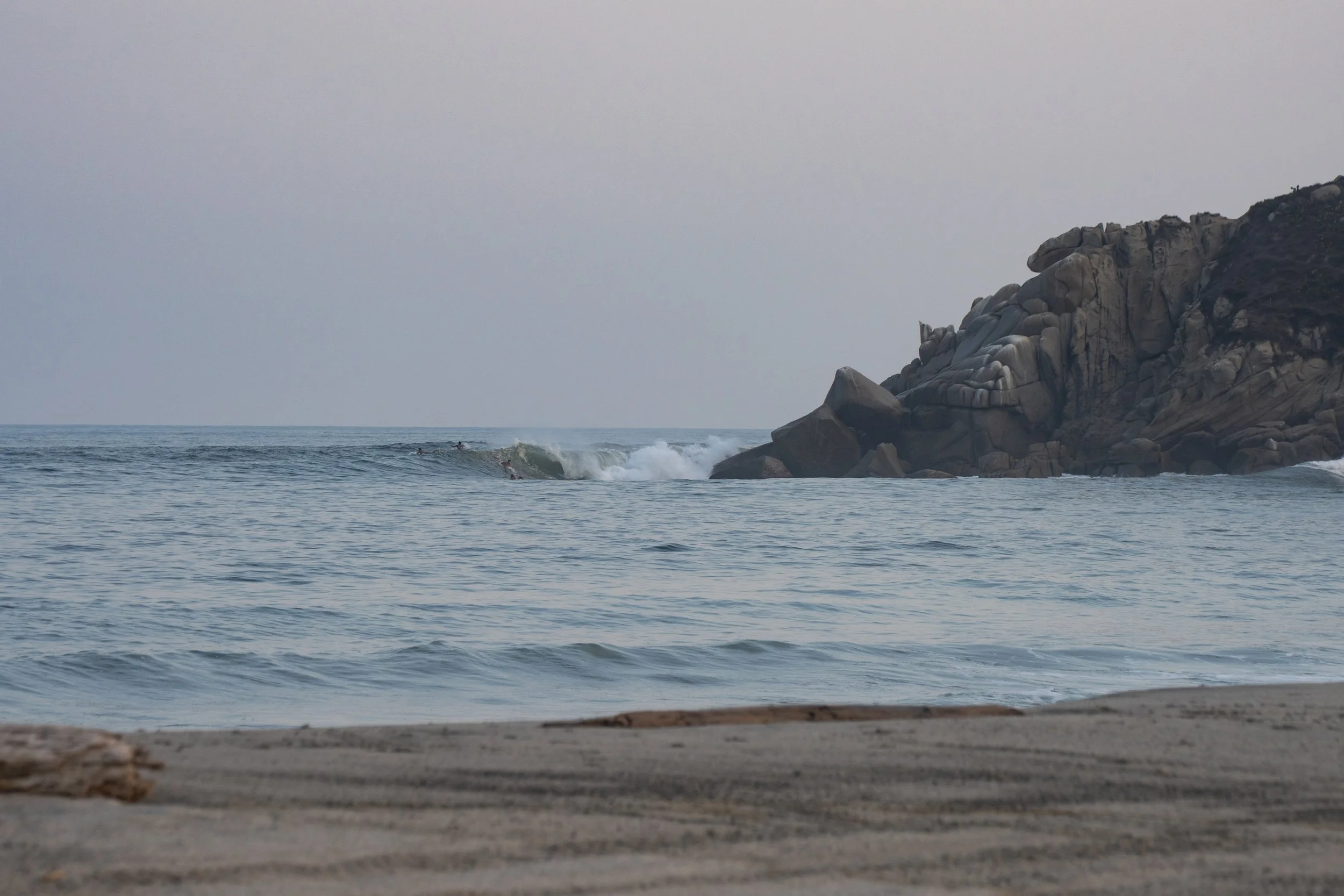 DSC01575.jpg
