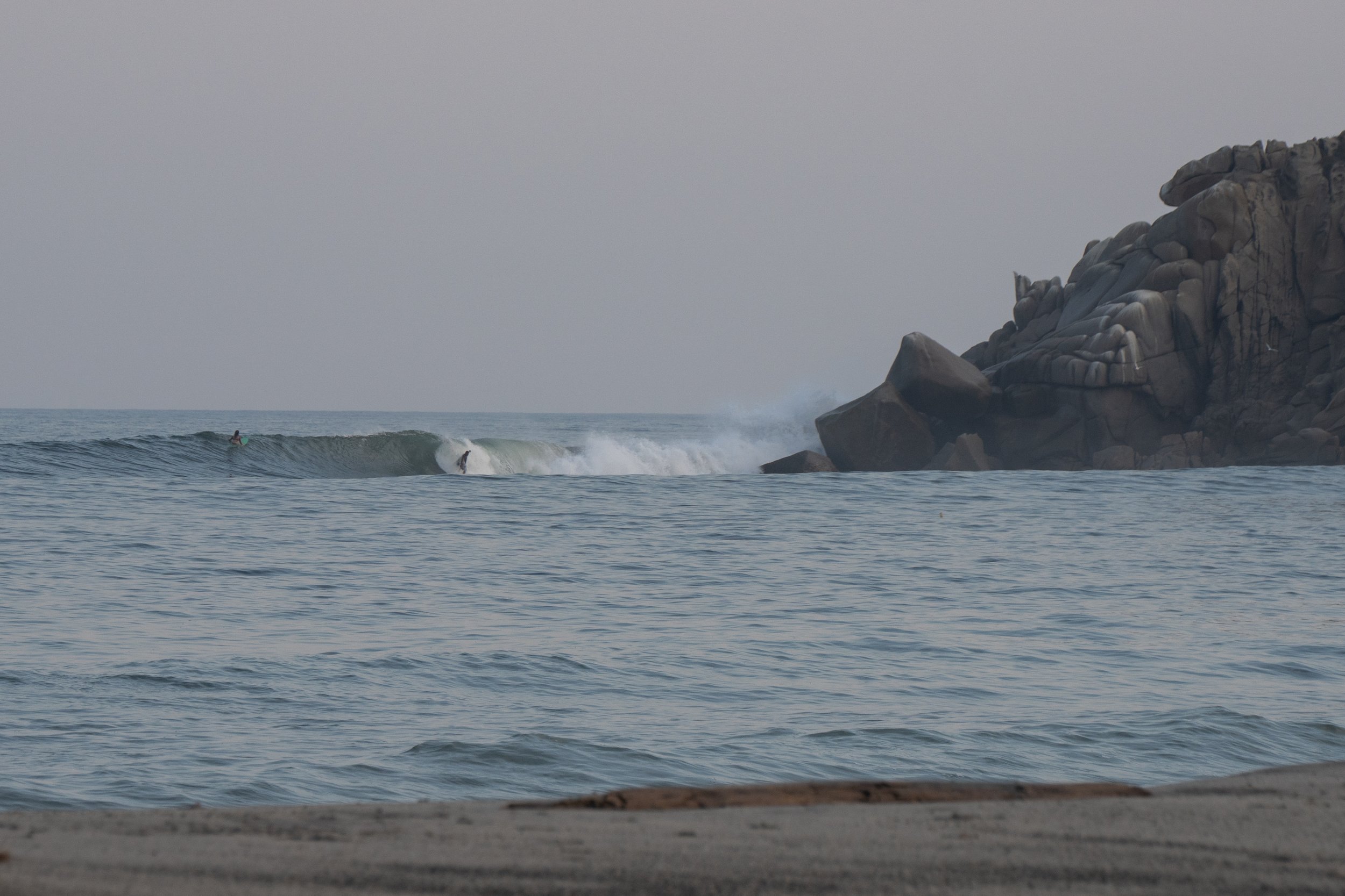 DSC01593.jpg