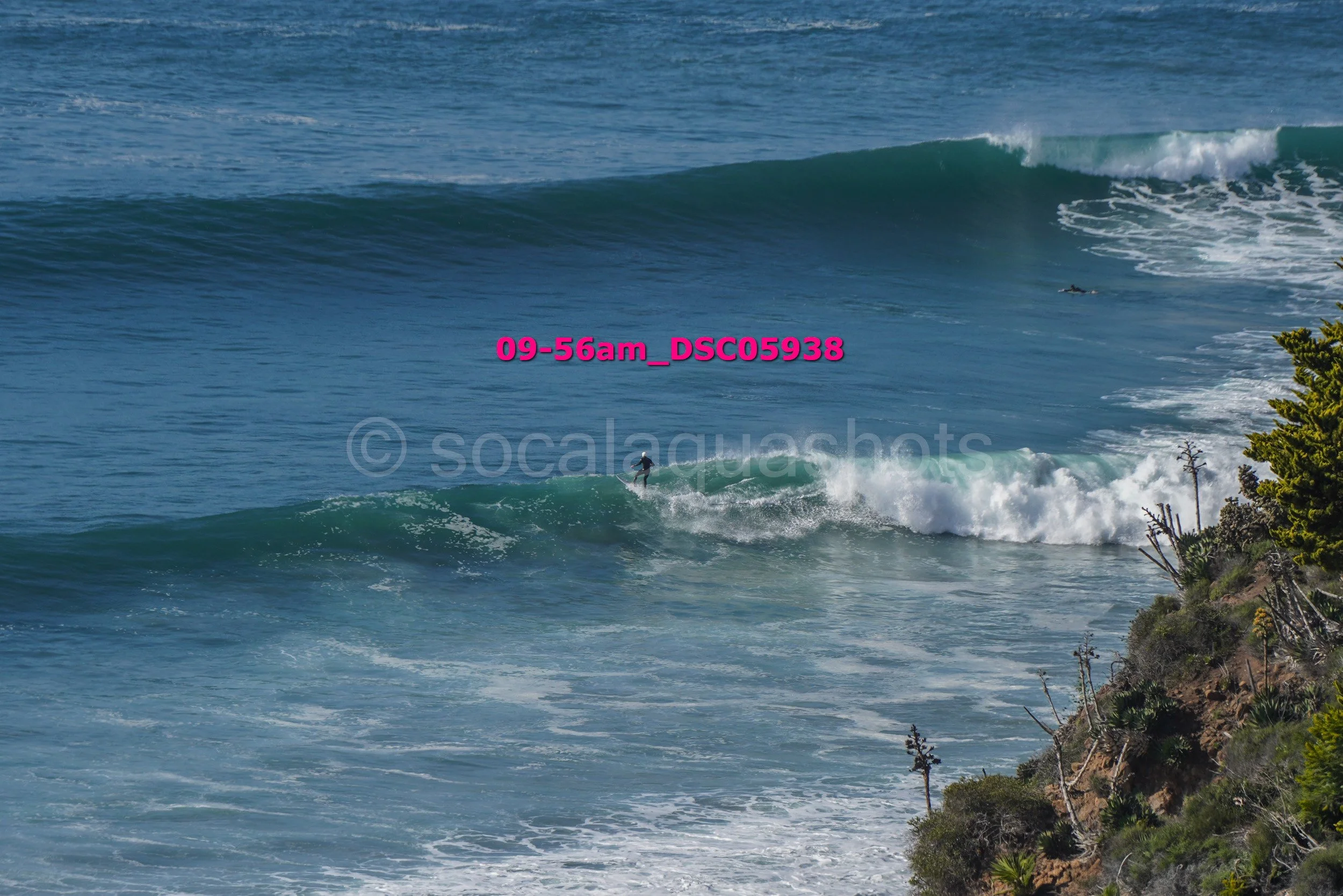 A person surfing on a wave near a rocky coastline with some trees.