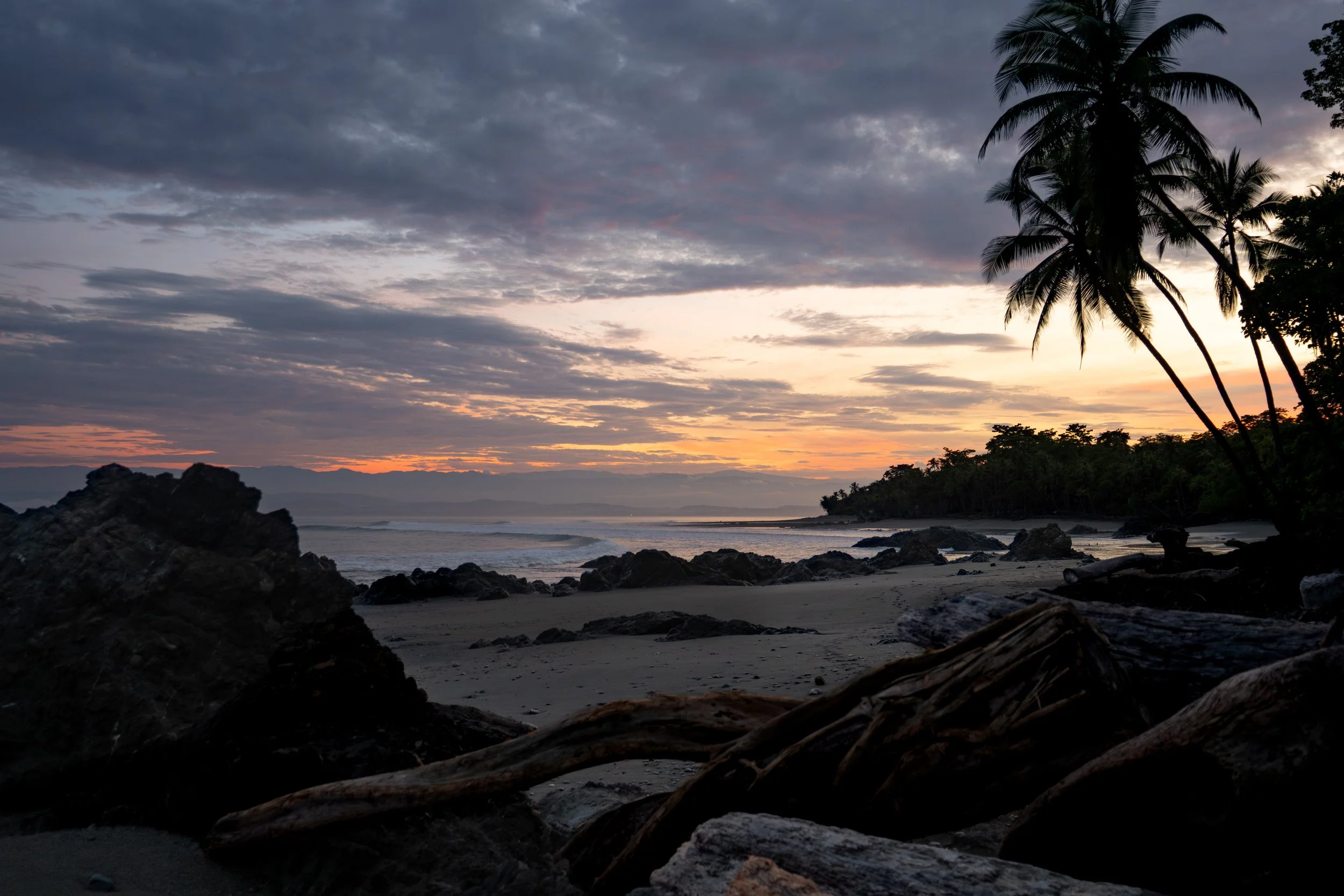 A scenic view of a beach at sunset with dark clouds in the sky, palm trees on the right, rocks in the foreground, and the ocean extending into the horizon.