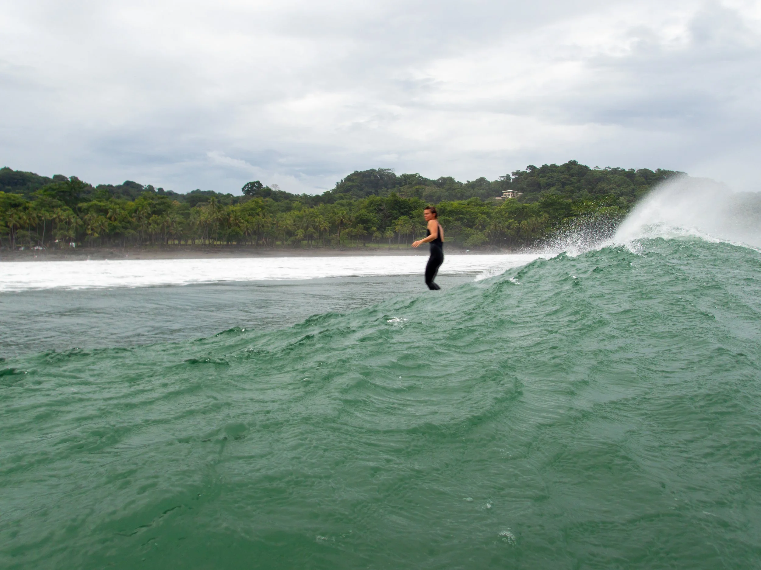 surfer riding a wave with lush green coastline in the background