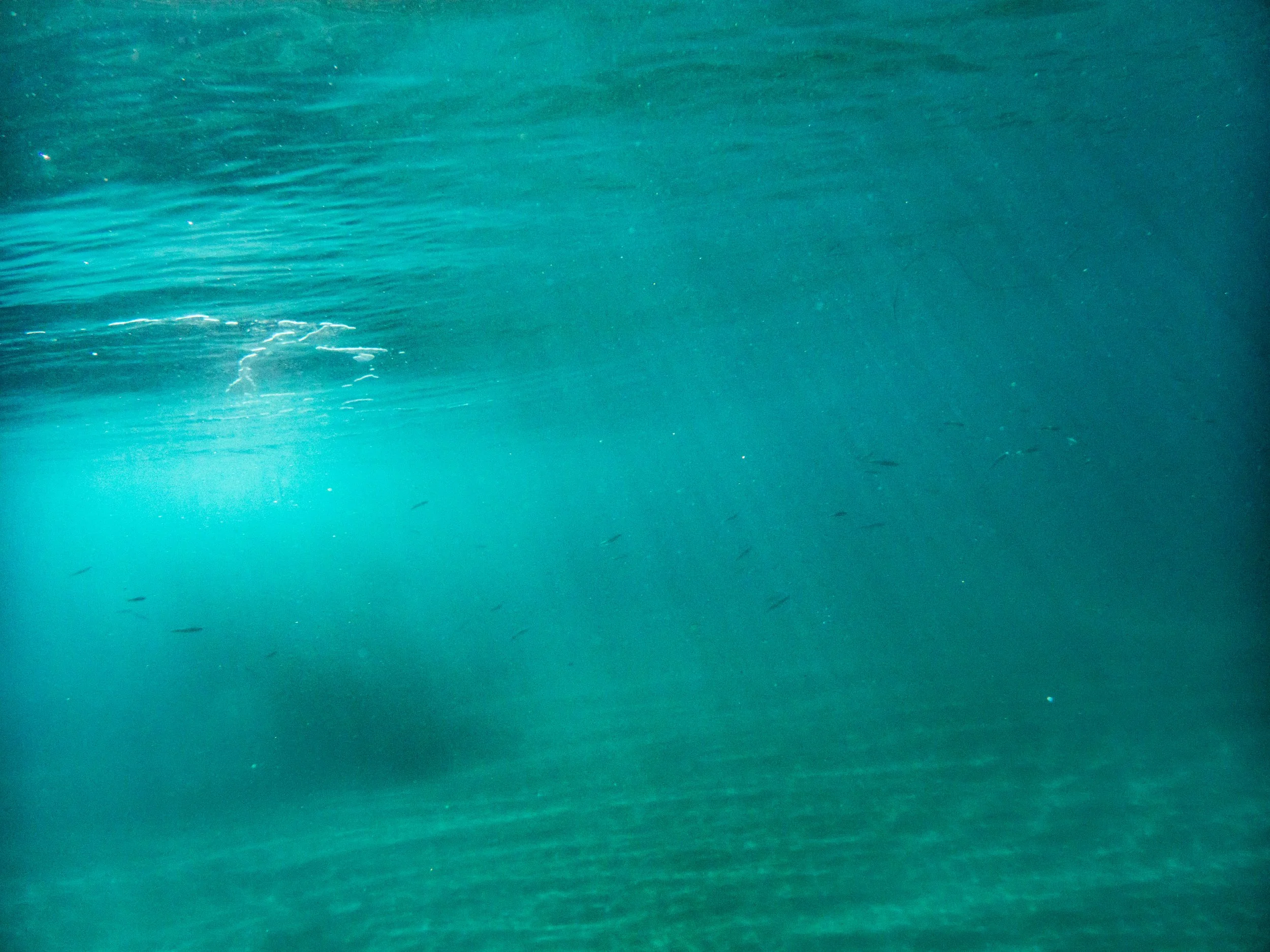 Underwater scene with waves and small fish swimming.