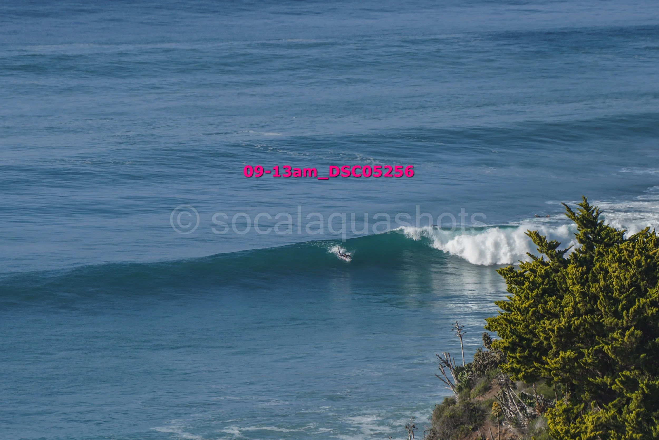 A person surfing on a large ocean wave near a rocky shoreline with green bushes.