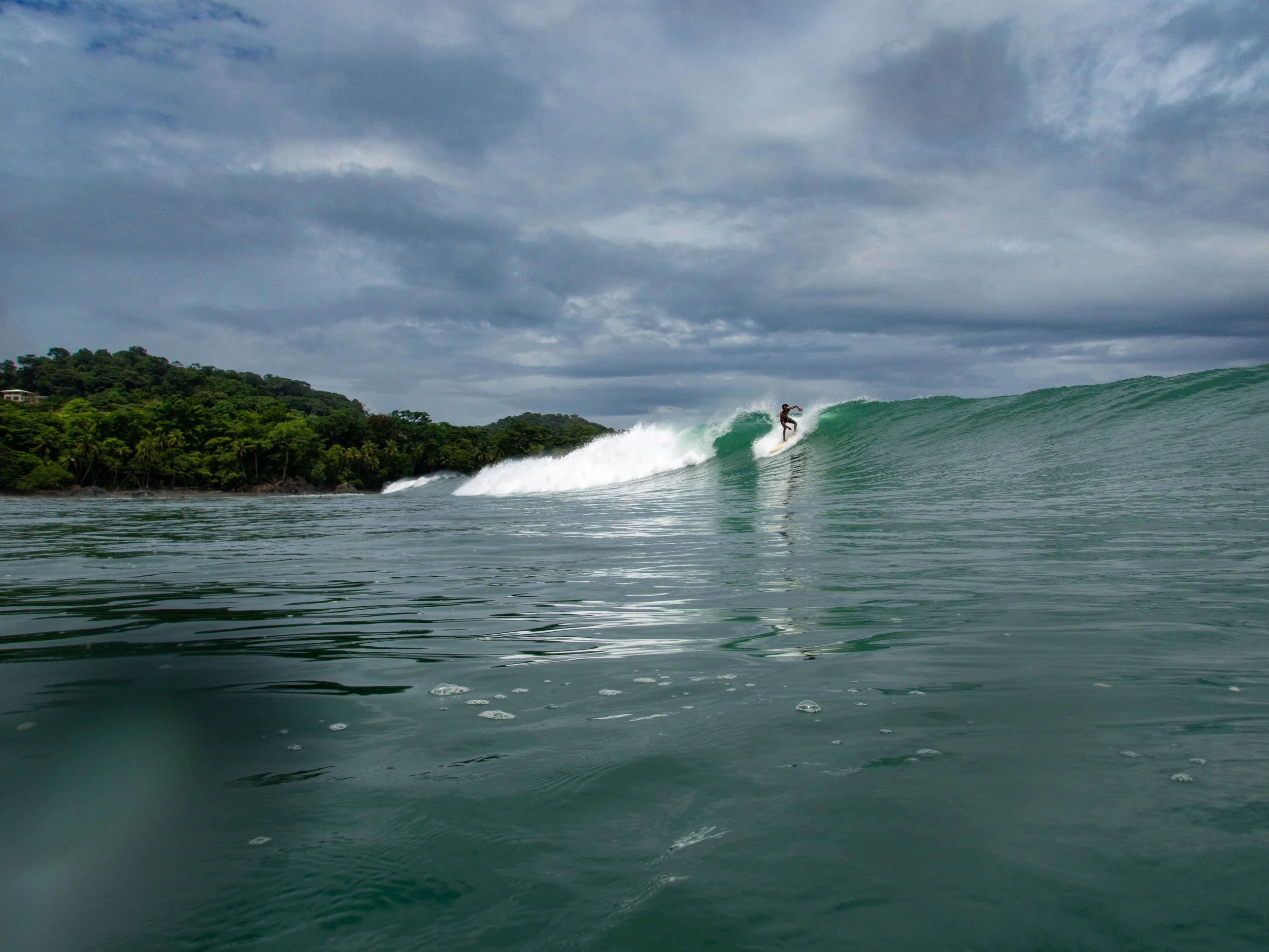 Surfer riding a wave near a lush green coastline with cloudy sky.