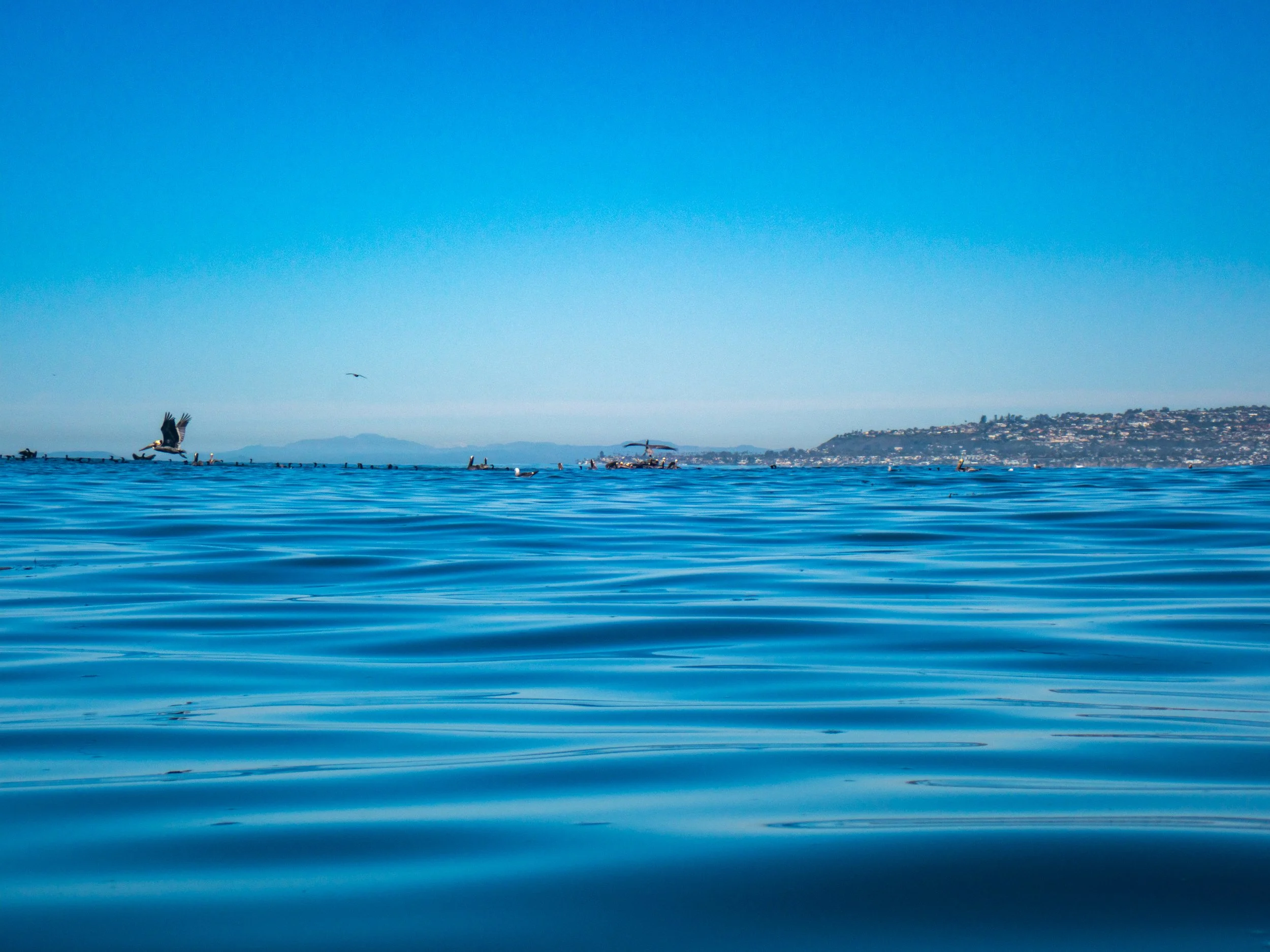 View of a calm blue body of water with a distant shoreline in the background, under a clear blue sky.