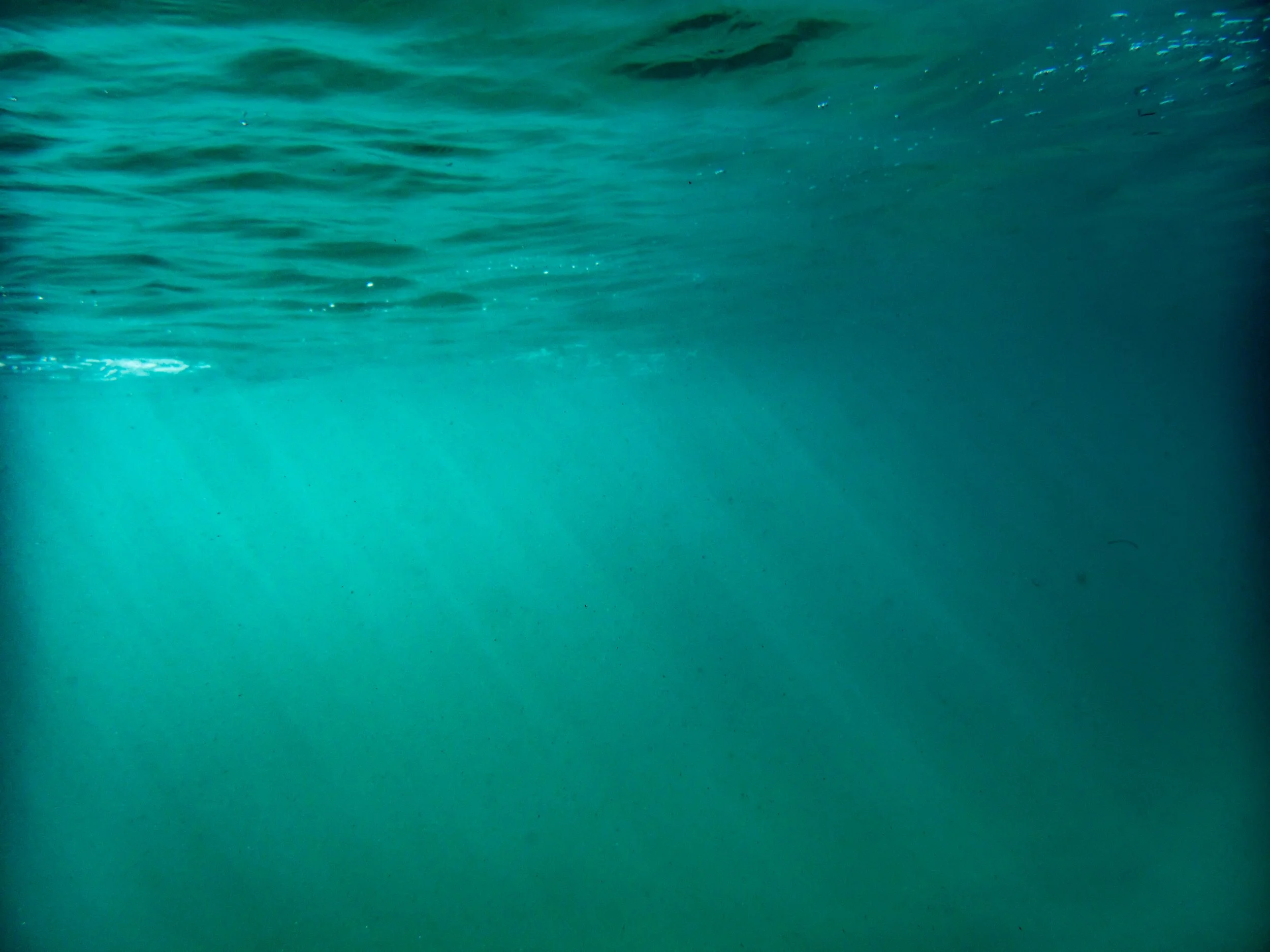 Underwater view of the ocean with sunlight filtering through the water.