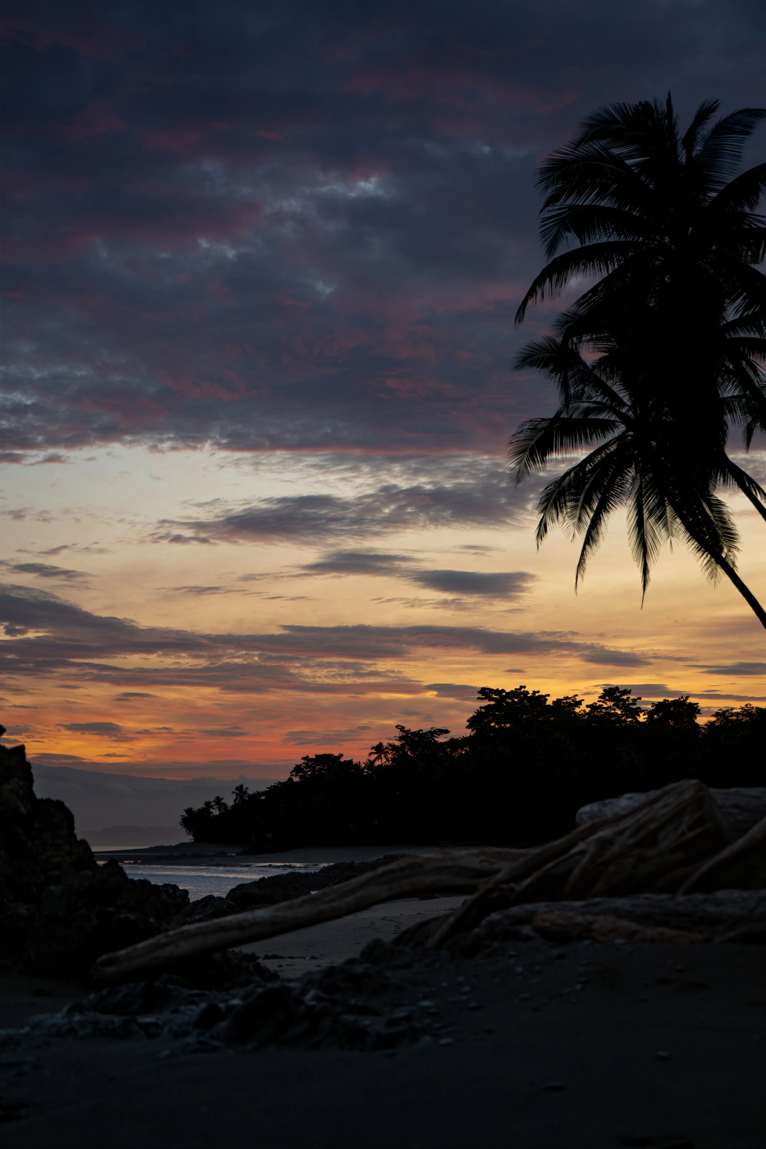 Silhouetted palm tree and rocky shoreline at sunset with colorful clouds in the sky.