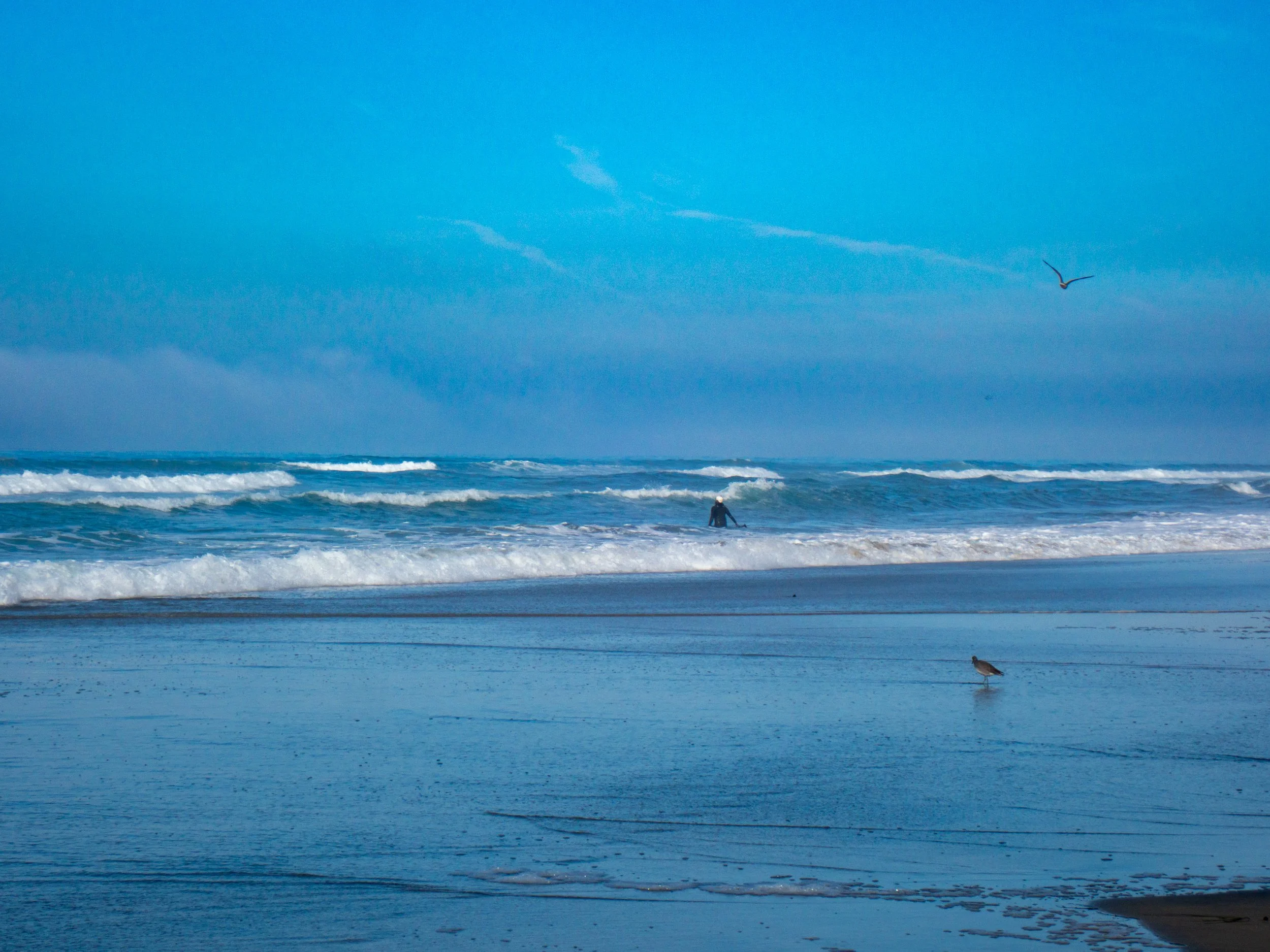 A person surfing in the ocean with waves and a bird flying in the sky.