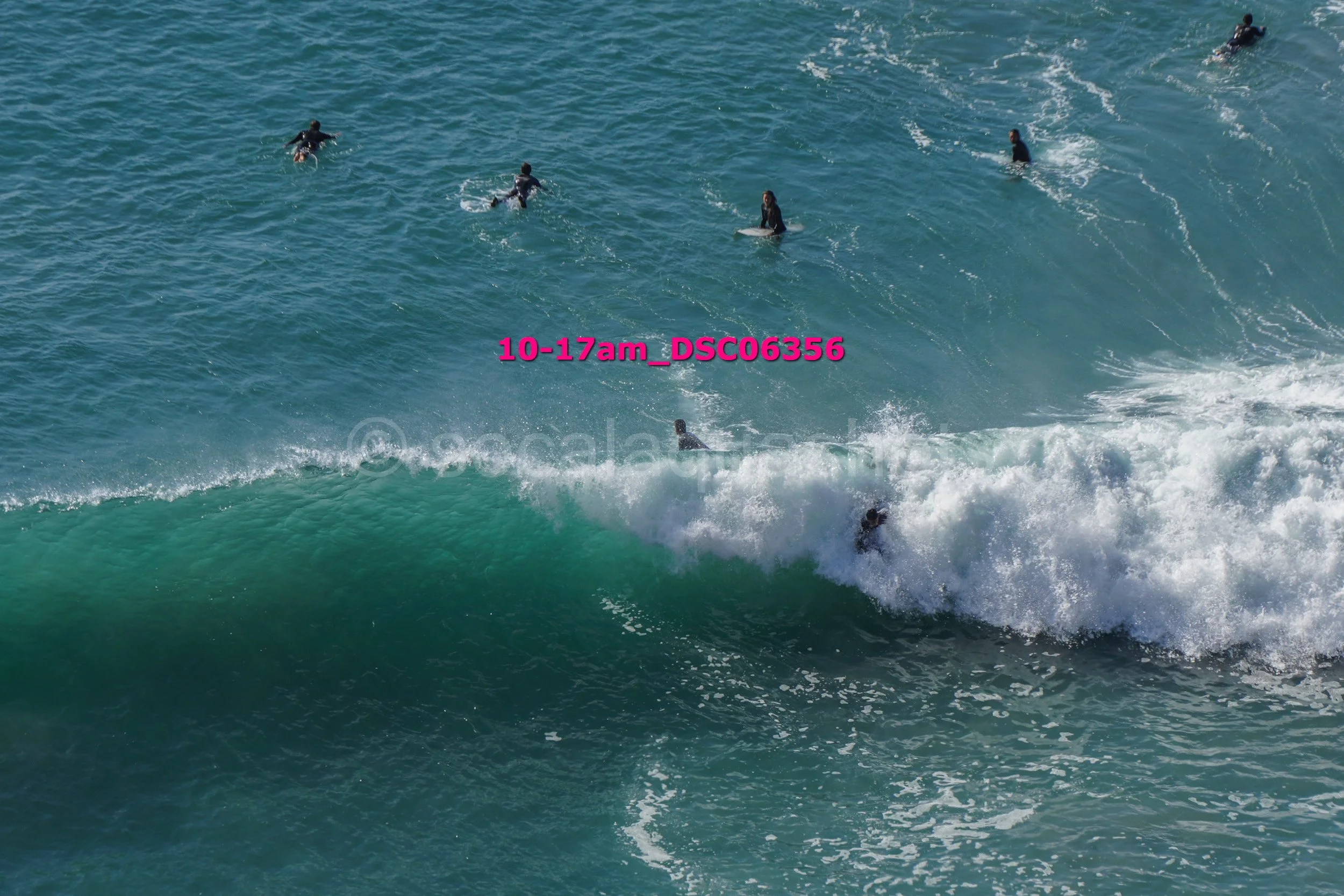Multiple people surfing on ocean waves.