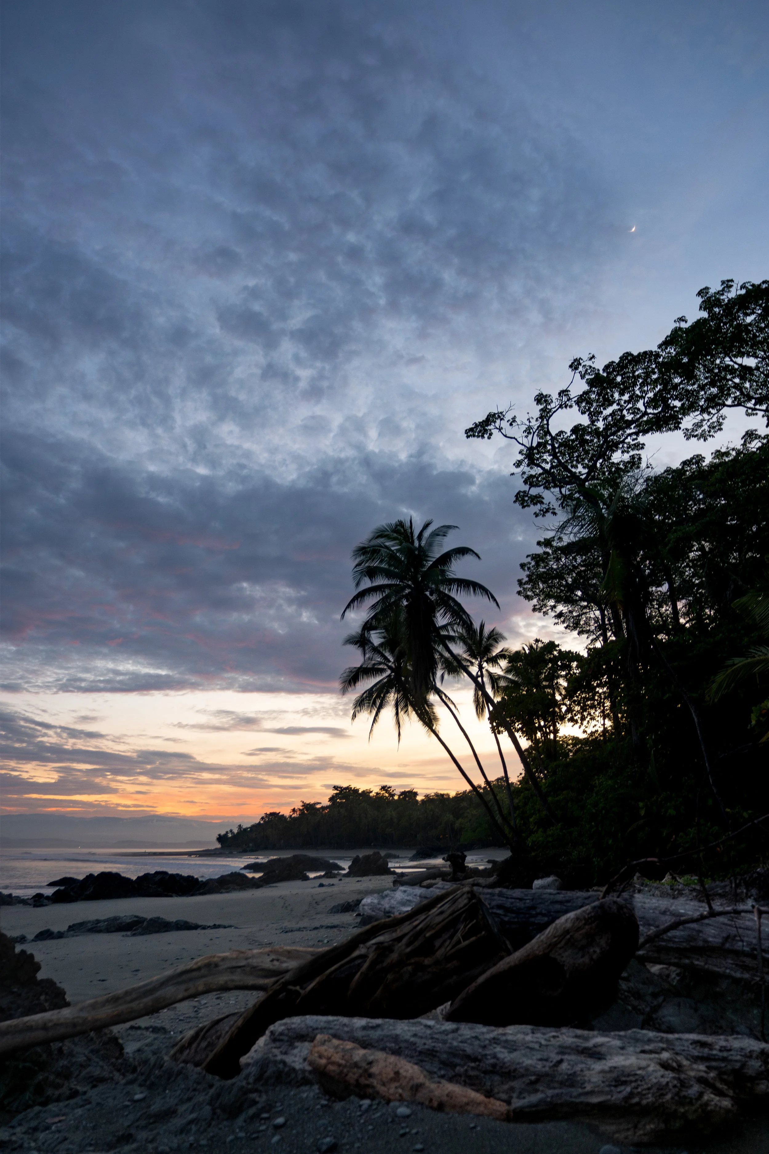A beach scene at sunset with silhouetted palm trees and scattered rocks on the shore, against a cloudy sky with a thin crescent moon visible.