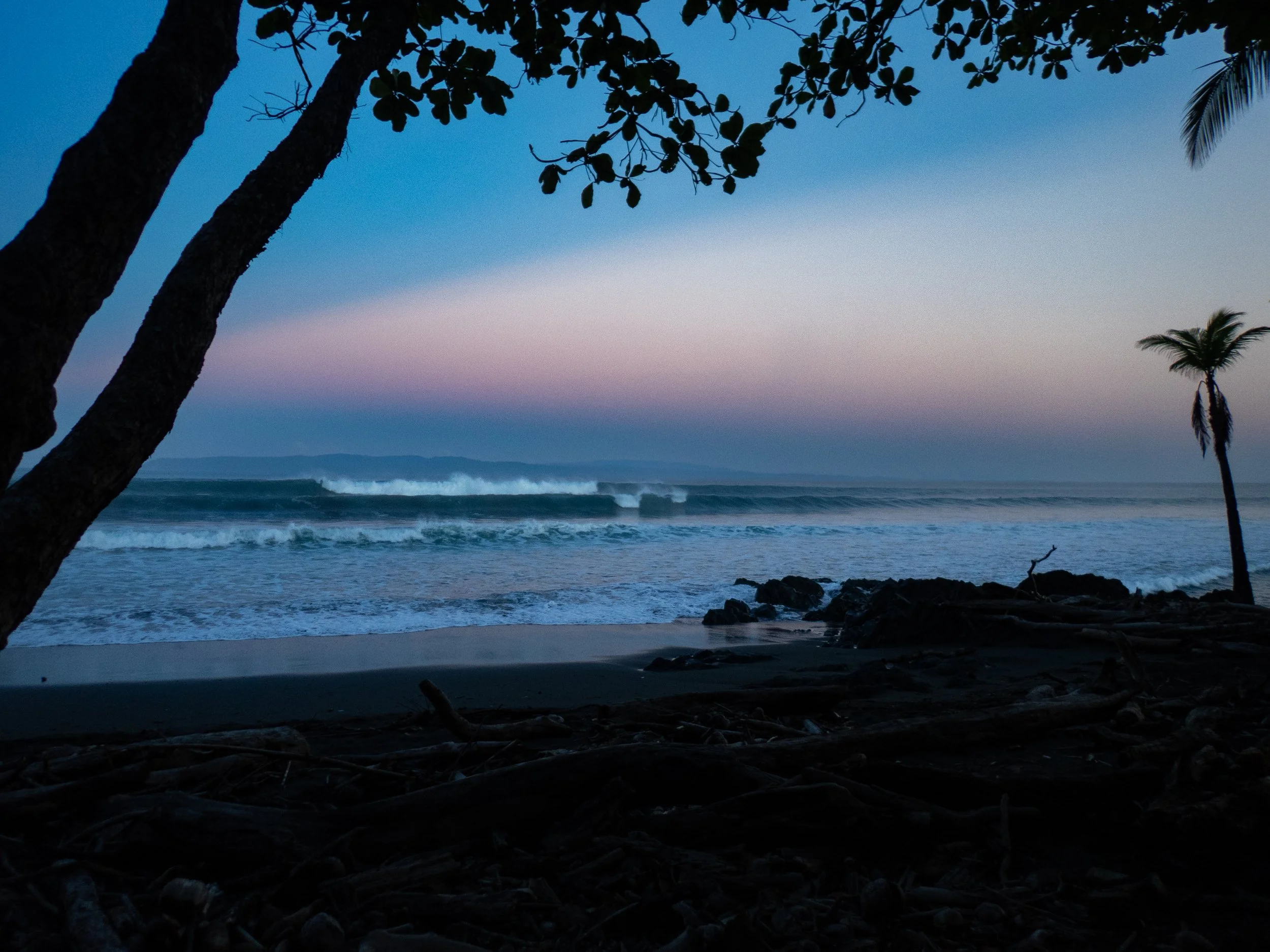Silhouettes of trees and palm trees on a beach at dusk with ocean waves and a colorful sky in the background.
