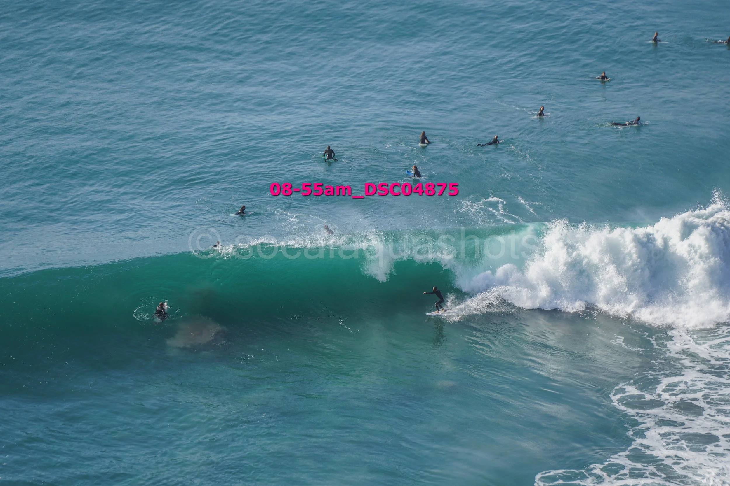 Surfer riding a wave with multiple surfers swimming in the ocean in the background.