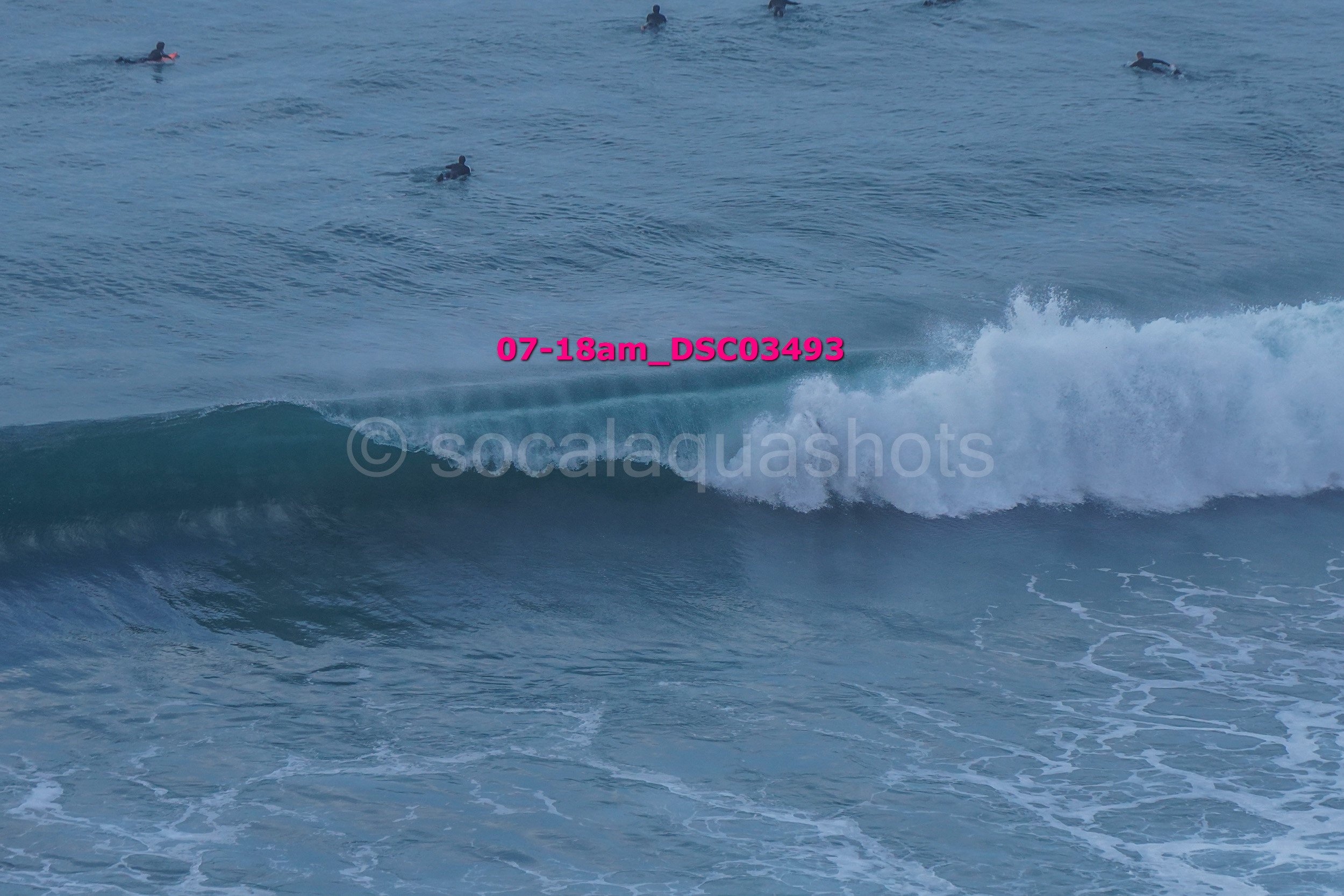Several surfers in the ocean waiting for waves, with one wave breaking in the foreground.
