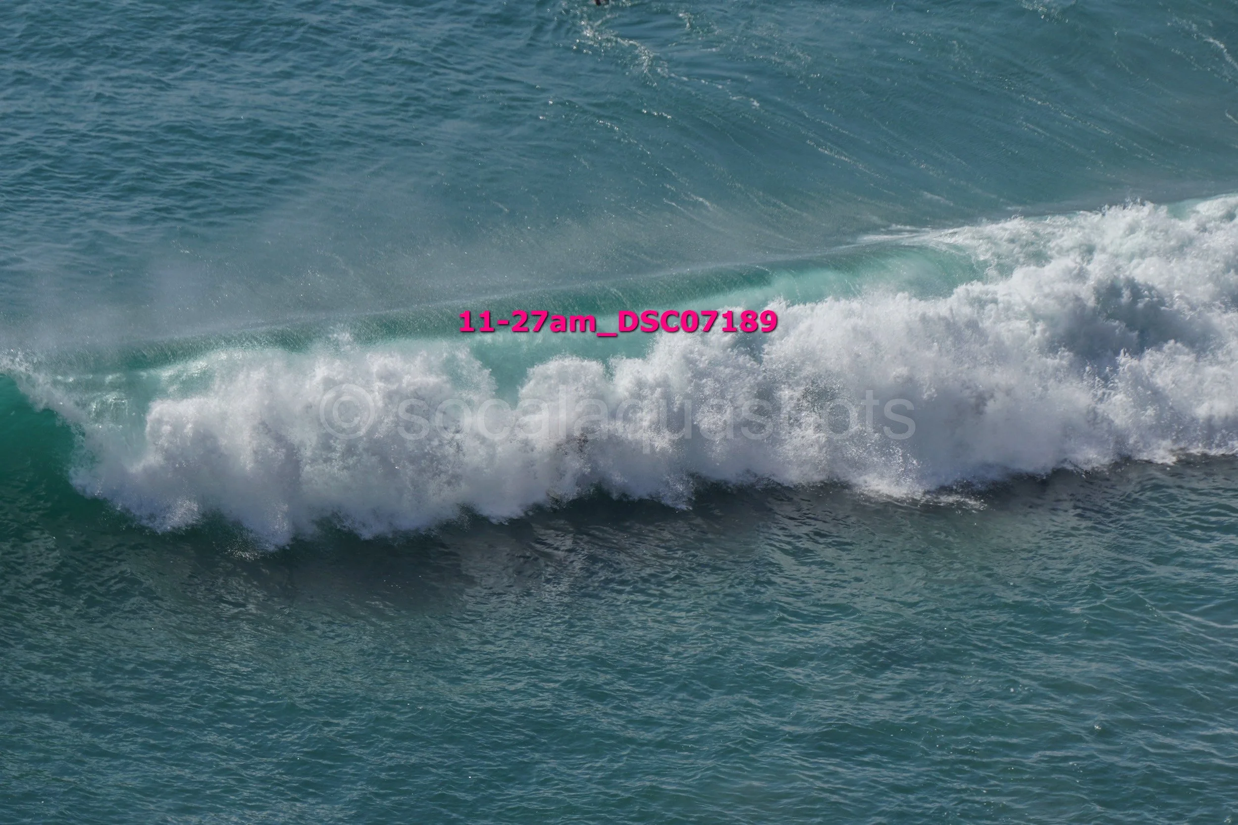 Ocean wave with white foam, blue-green water, and sunlight reflecting off the surface.