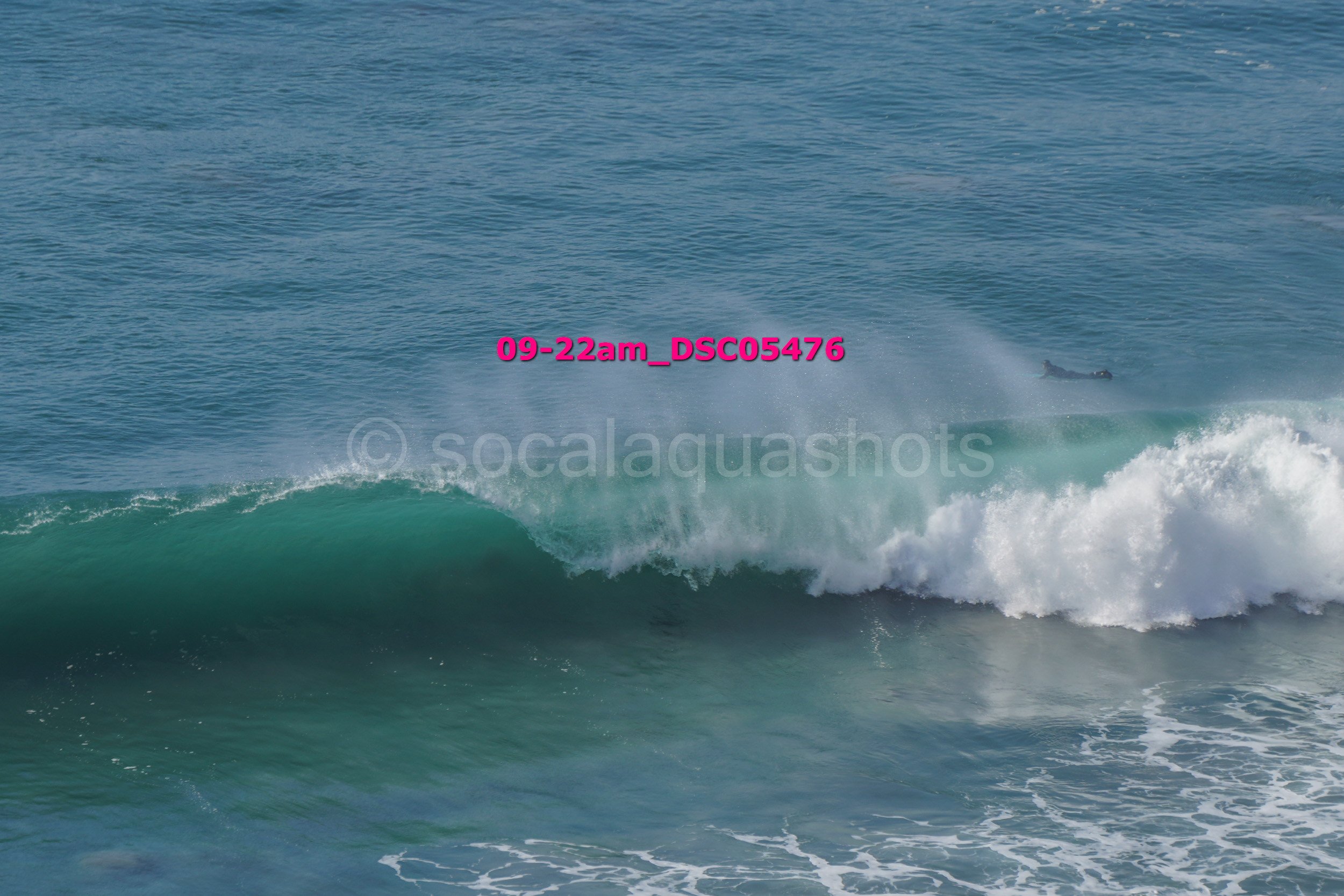 A person riding a wave on a surfboard in the ocean, with the water splashing around, and the surfboard slightly airborne.