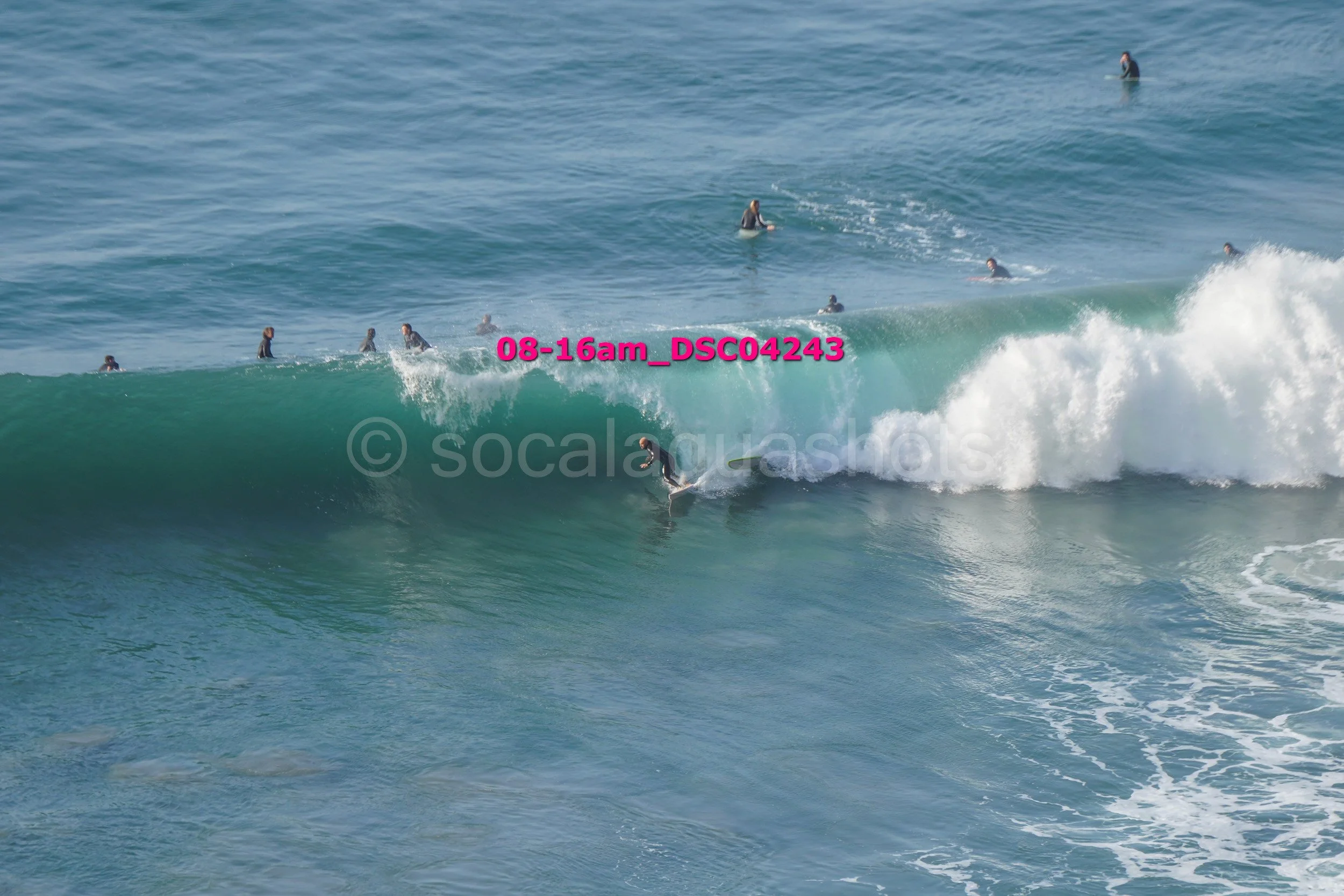 Surfers riding and waiting for waves in the ocean, with one person actively surfing a wave.