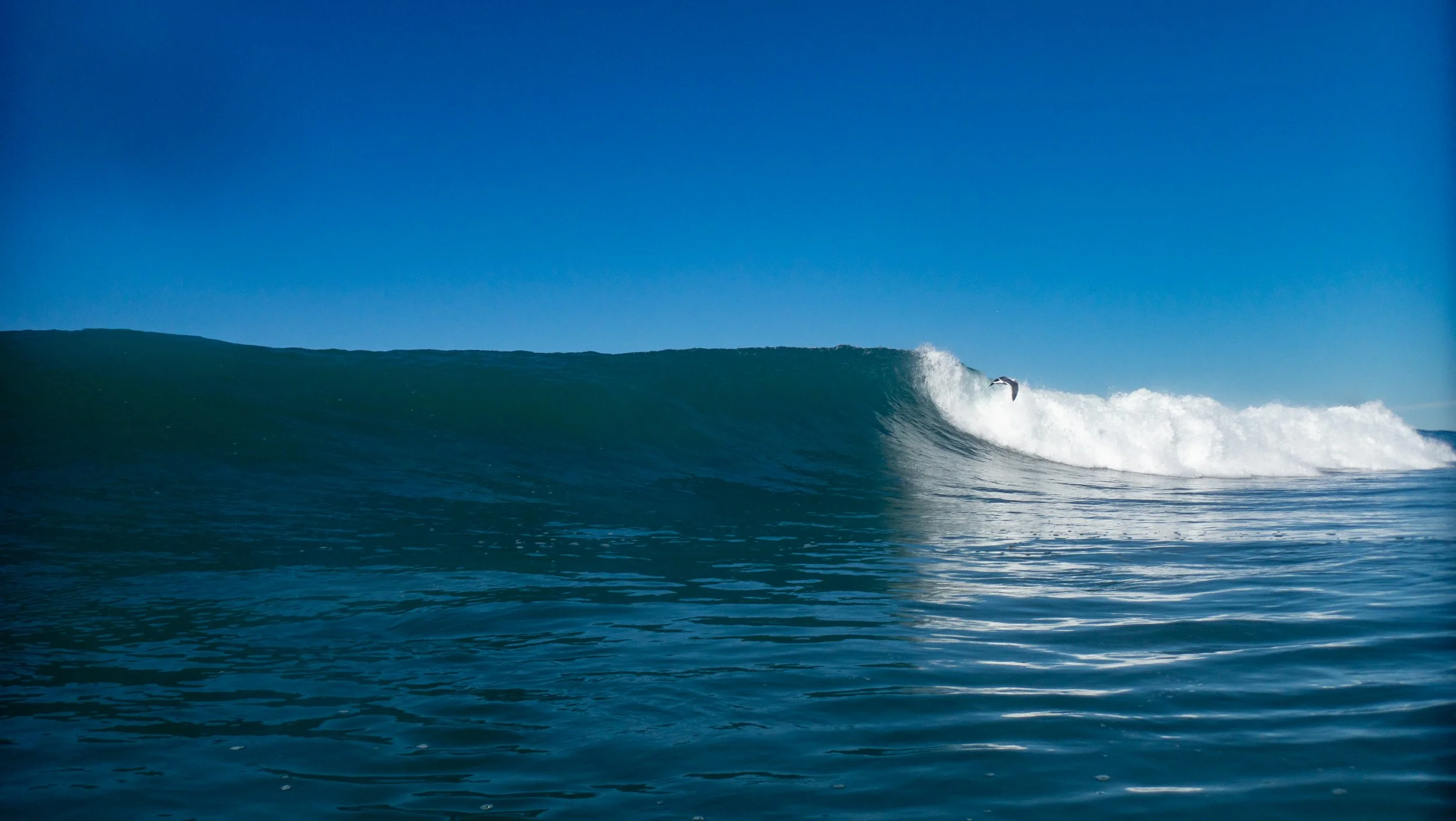 A surfer riding a large wave in the ocean under a clear blue sky.