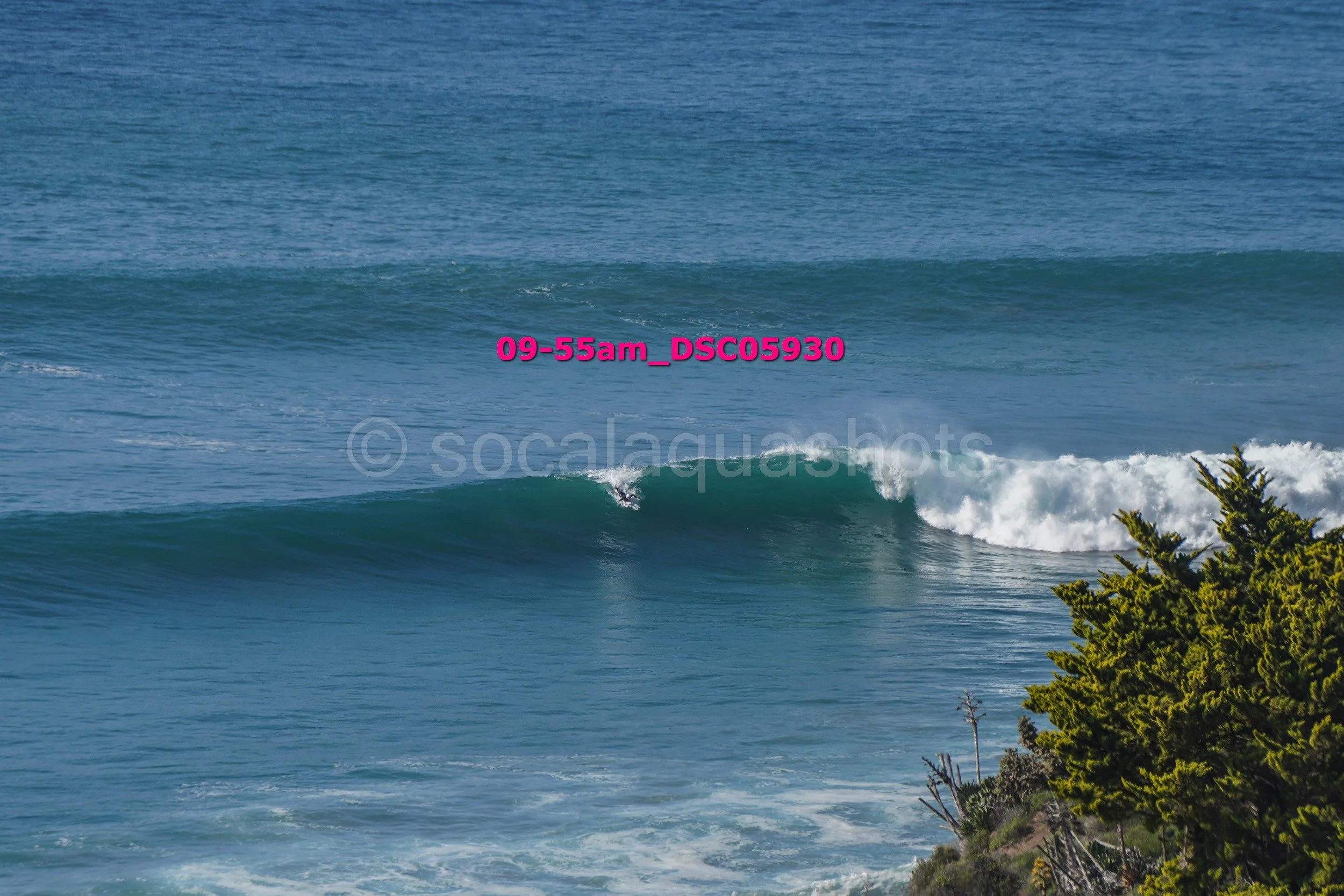 A surfer riding a wave in the ocean near a rocky, green shoreline.