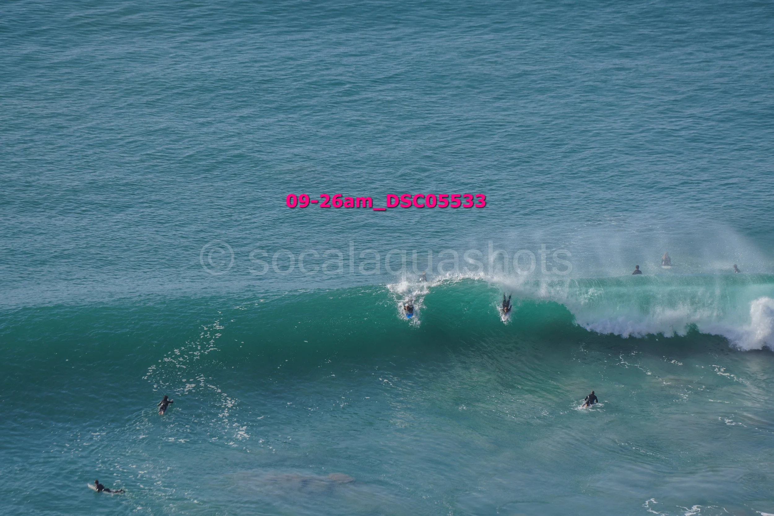 Multiple surfers riding a large wave at the beach, some paddling on surfboards and some standing or falling off.