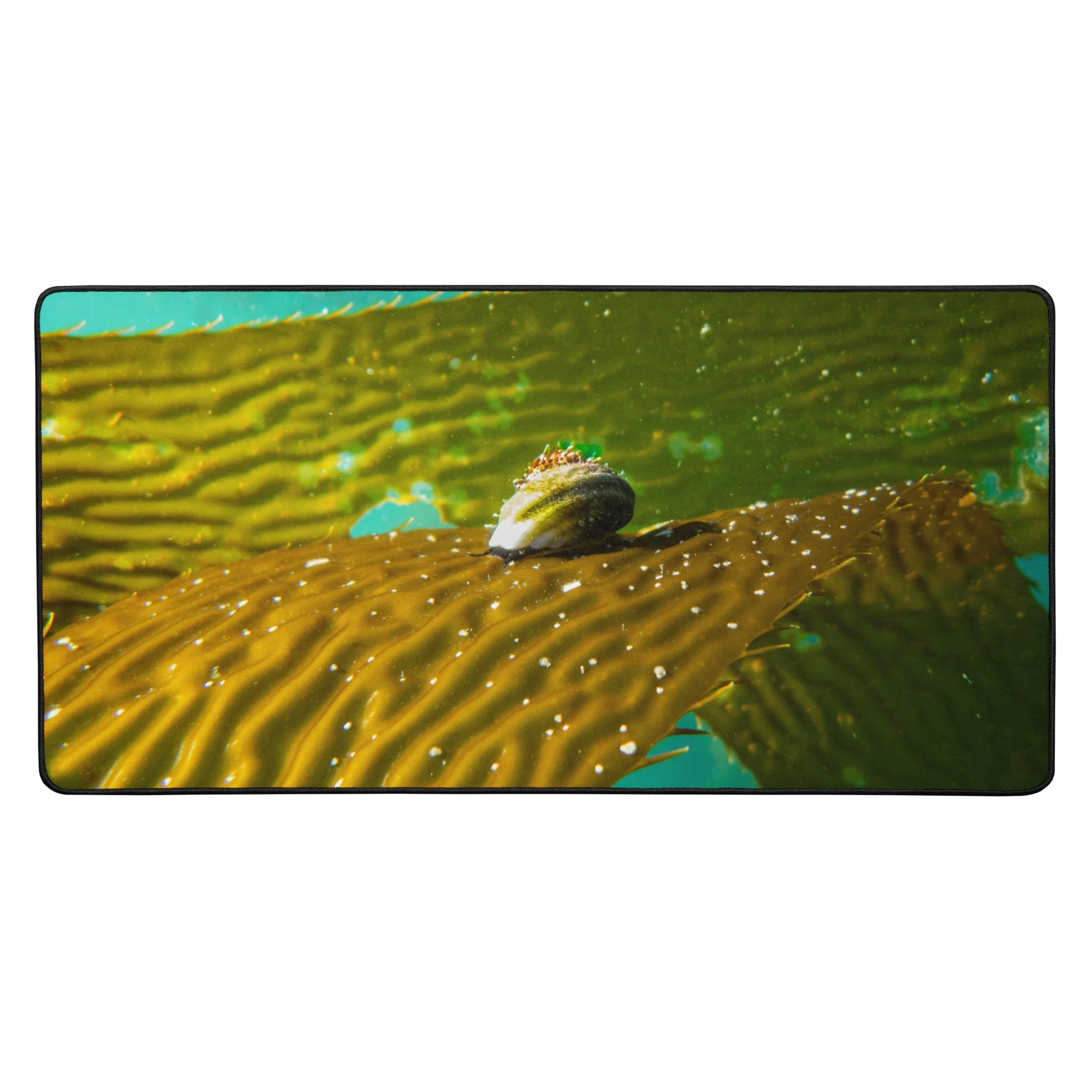 desk-mat-black-16x32-front-697820167b55b.jpg