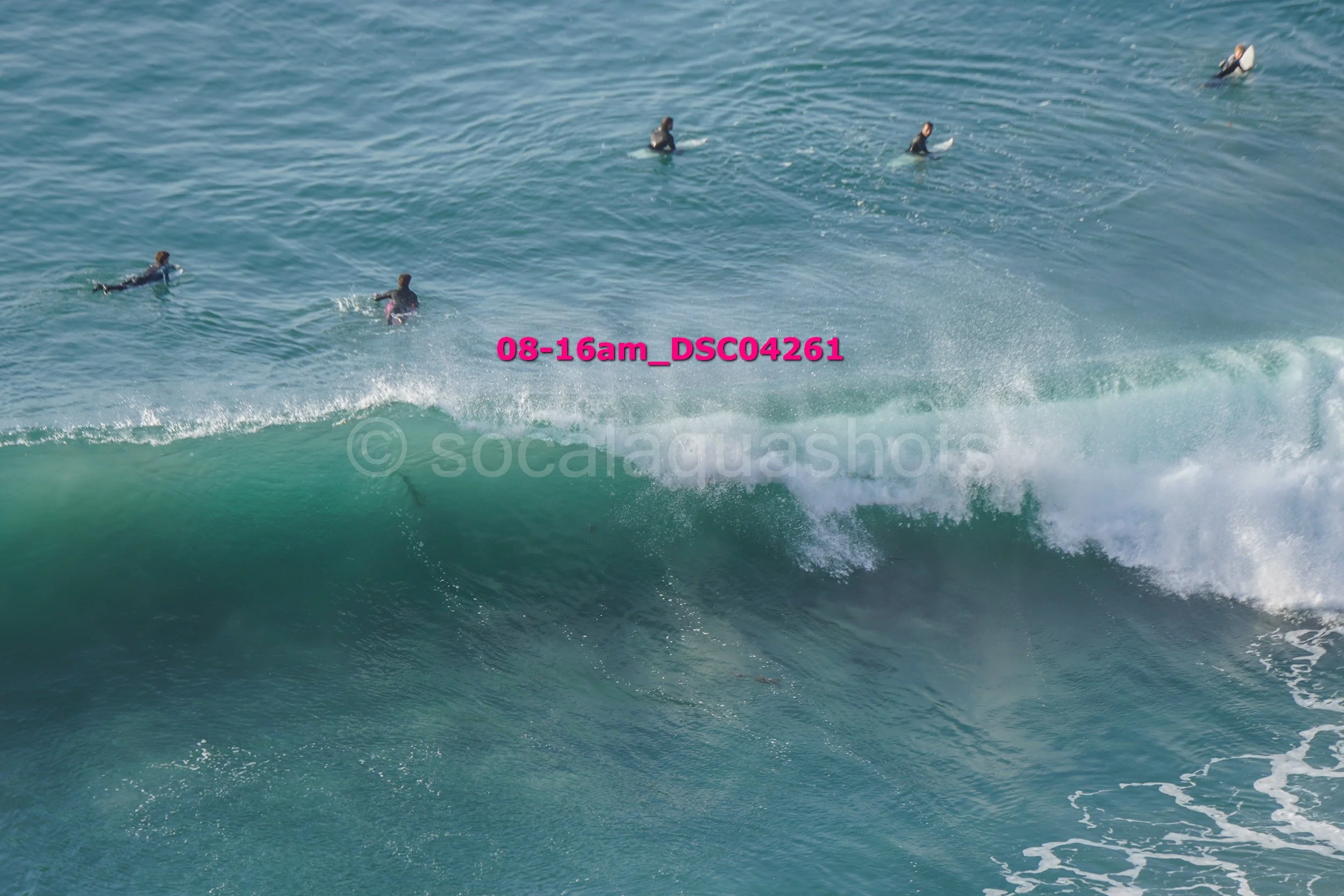 Five surfers in wetsuits riding or paddling on a large ocean wave.