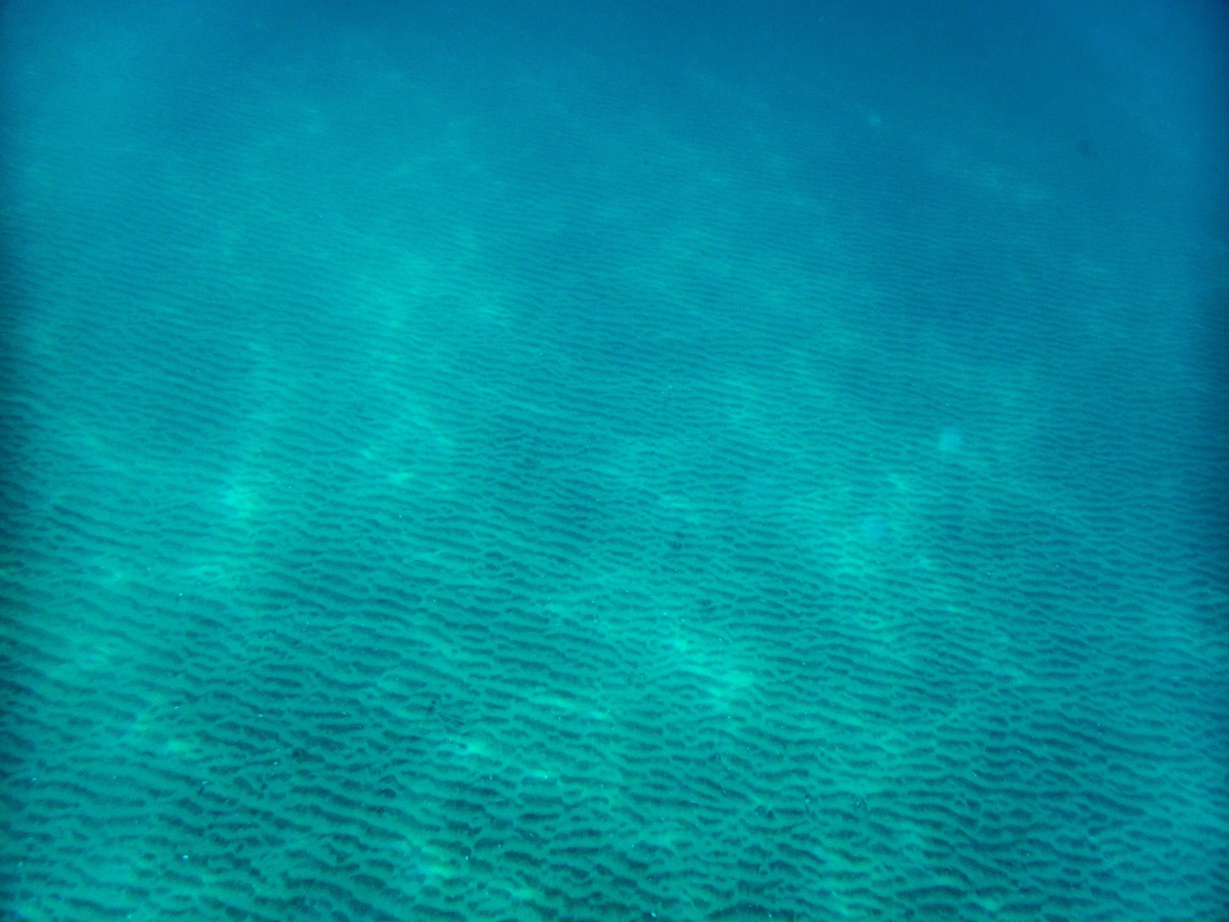 Underwater view of coral reef with rippled sand pattern.